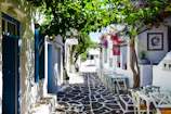 A charming street in a Cypriot village with stone houses and blooming bougainvillea.