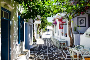 A charming street in a Cypriot village with stone houses and blooming bougainvillea.