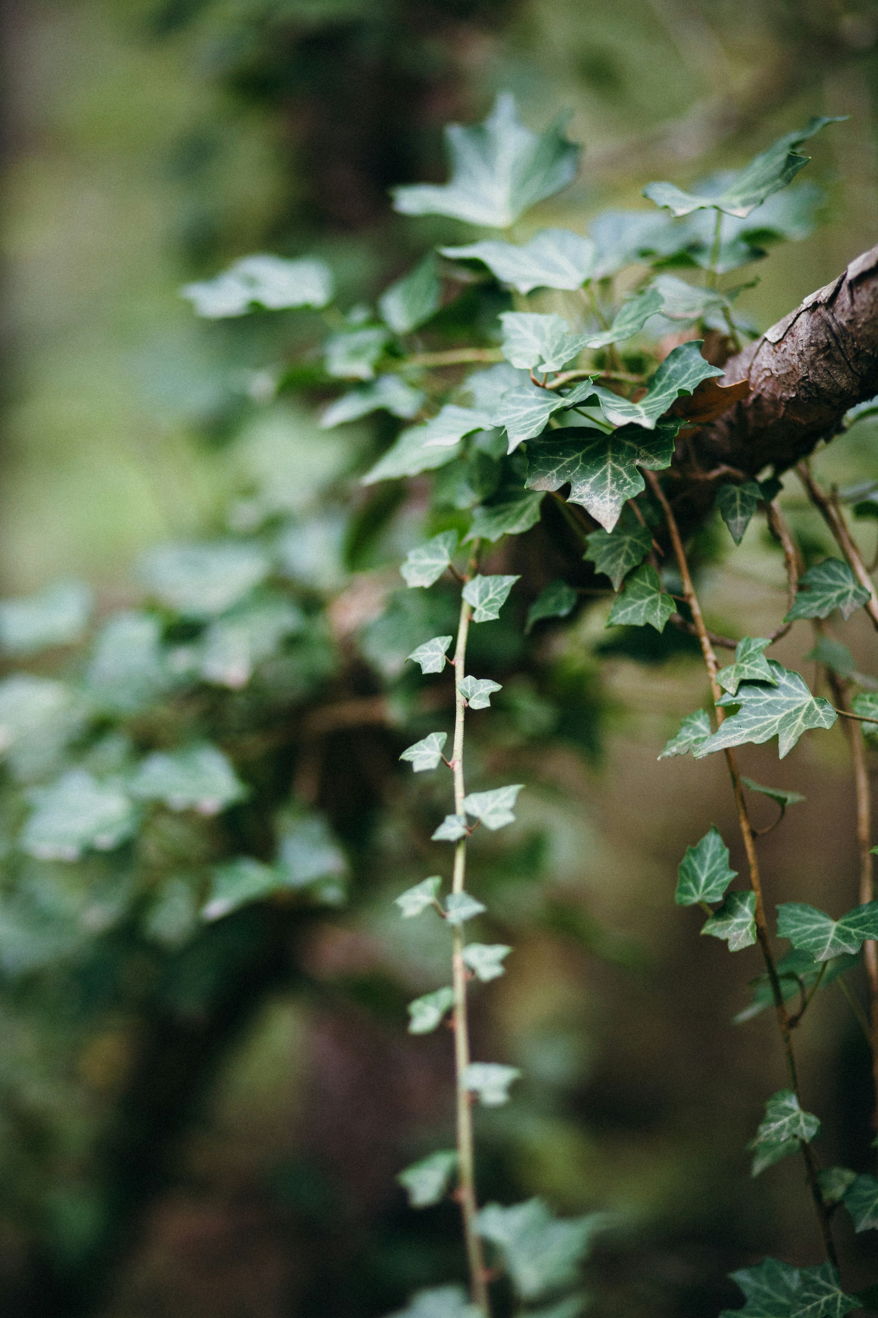 Photo by skatienstuksuma