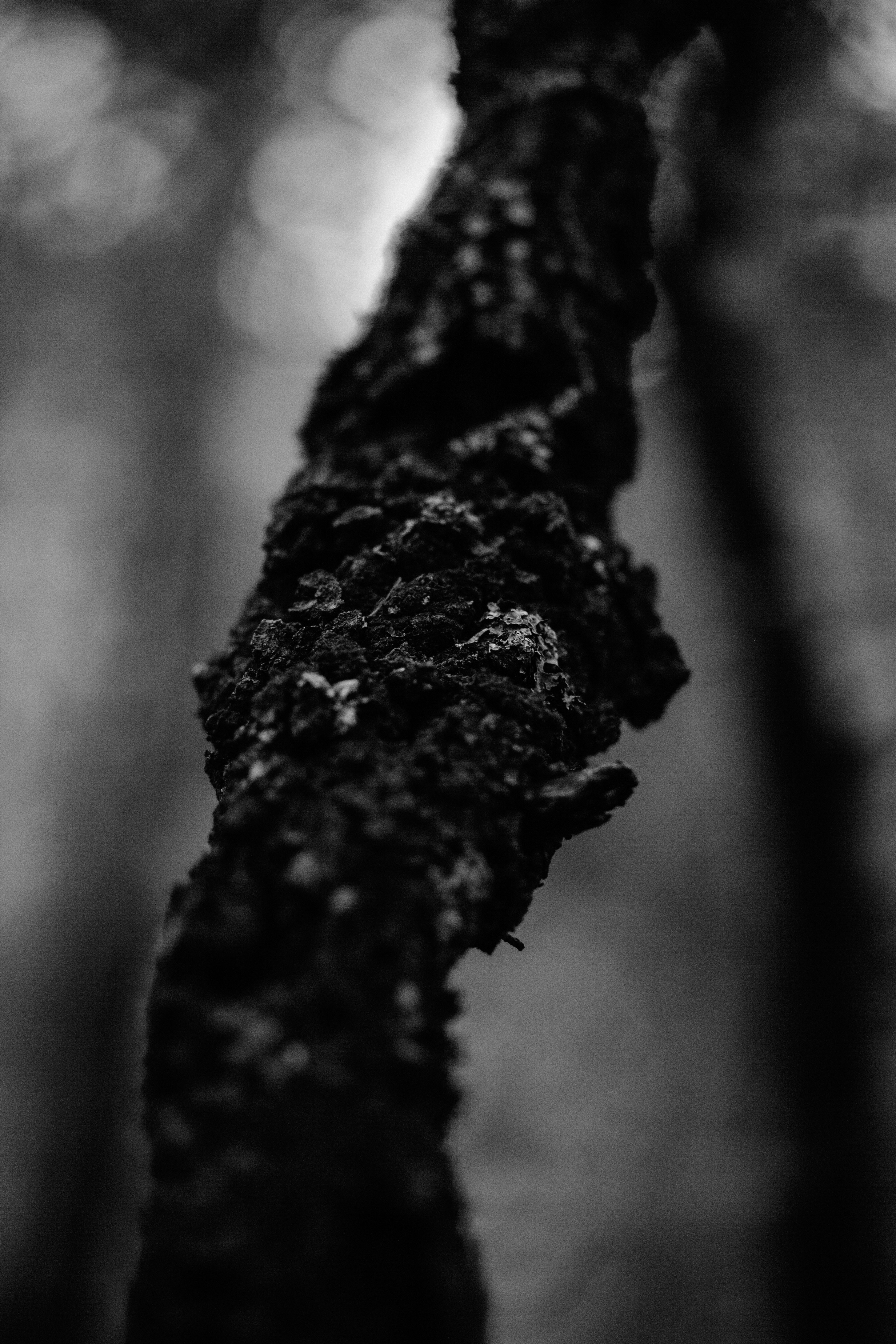 Photo by skatienstuksuma