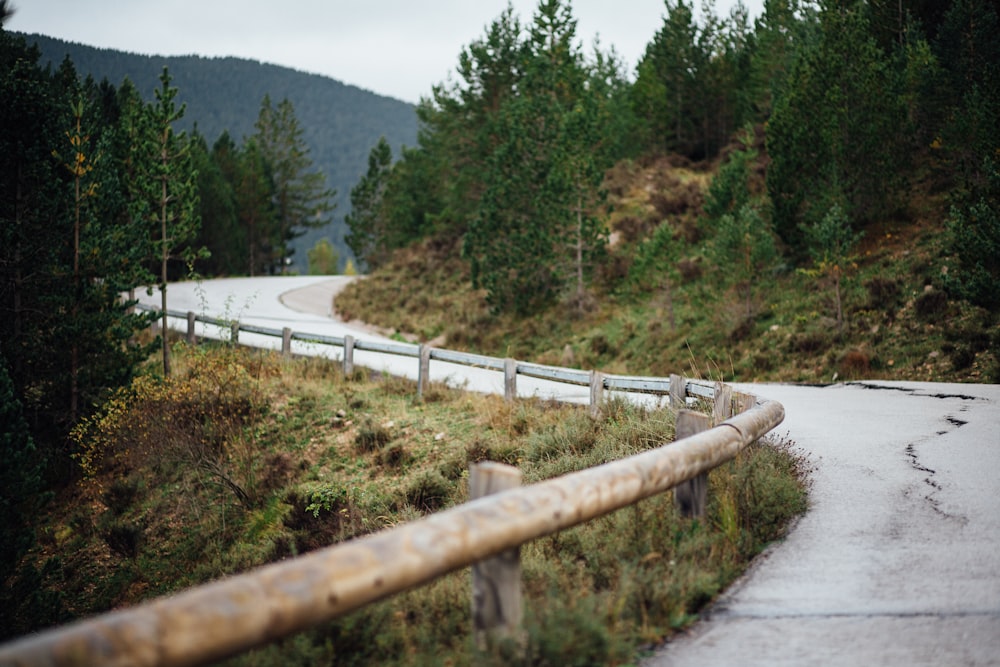 a road with a white fence and trees on the side