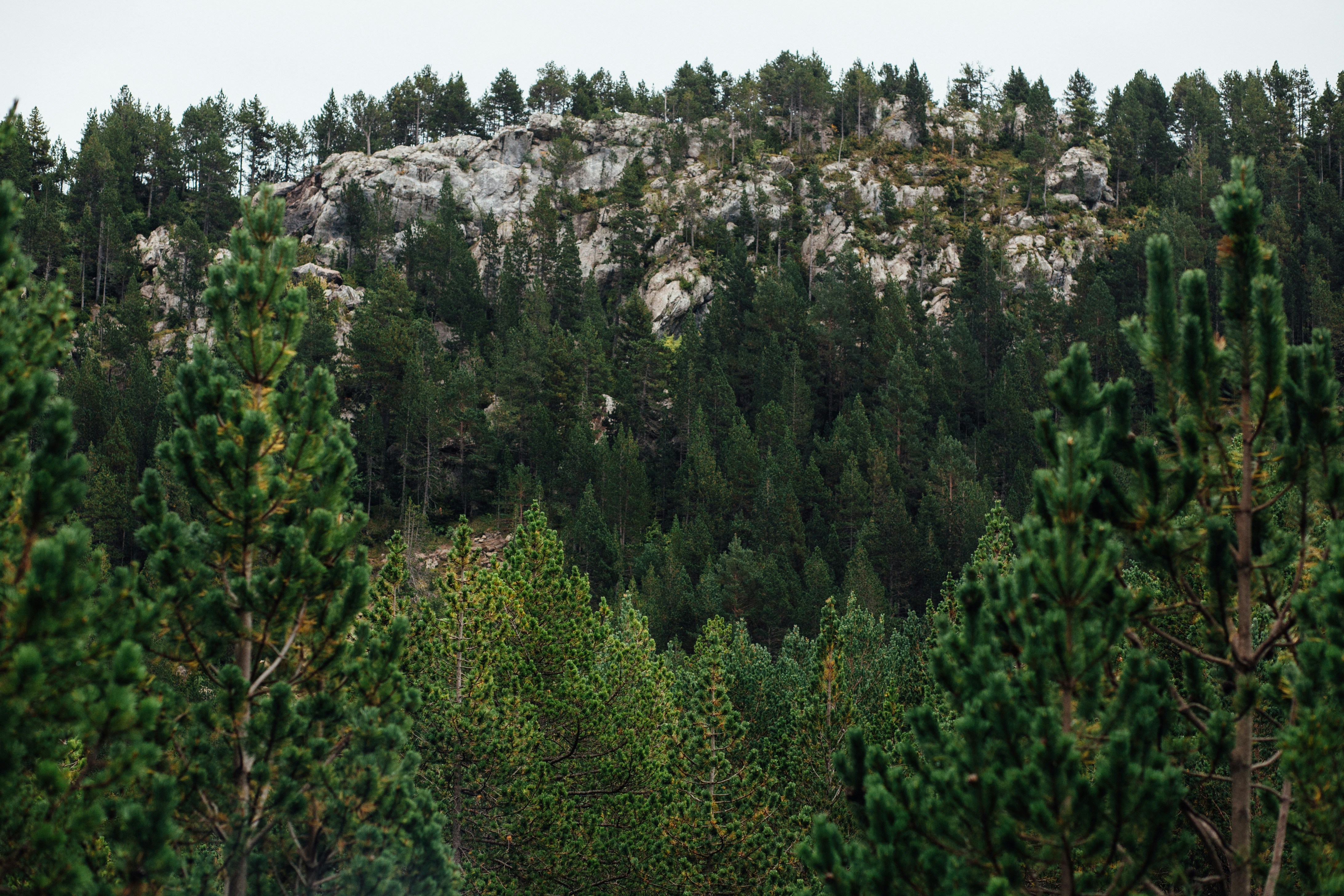 Photo by skatienstuksuma