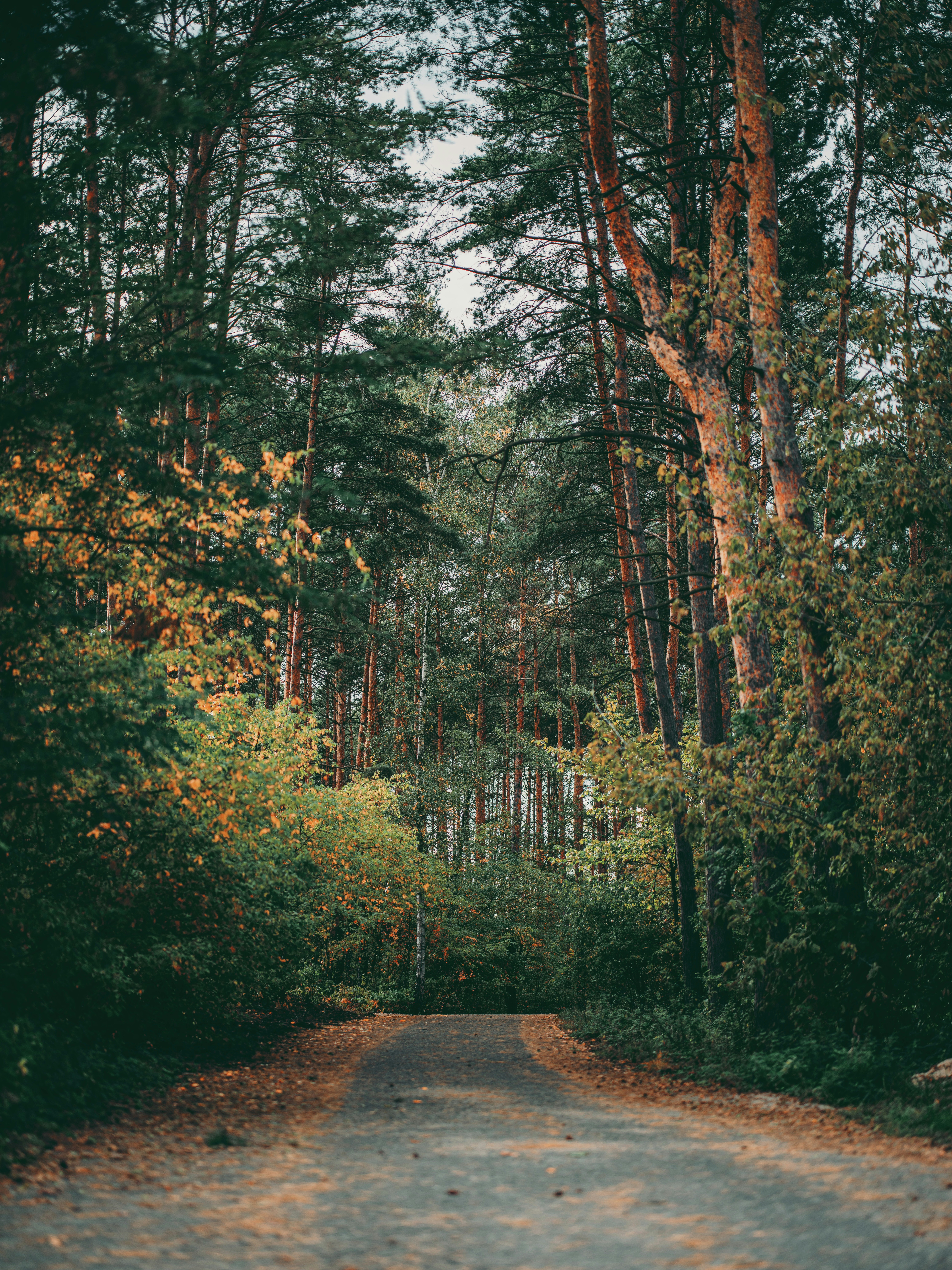 Photo by egorkomarov