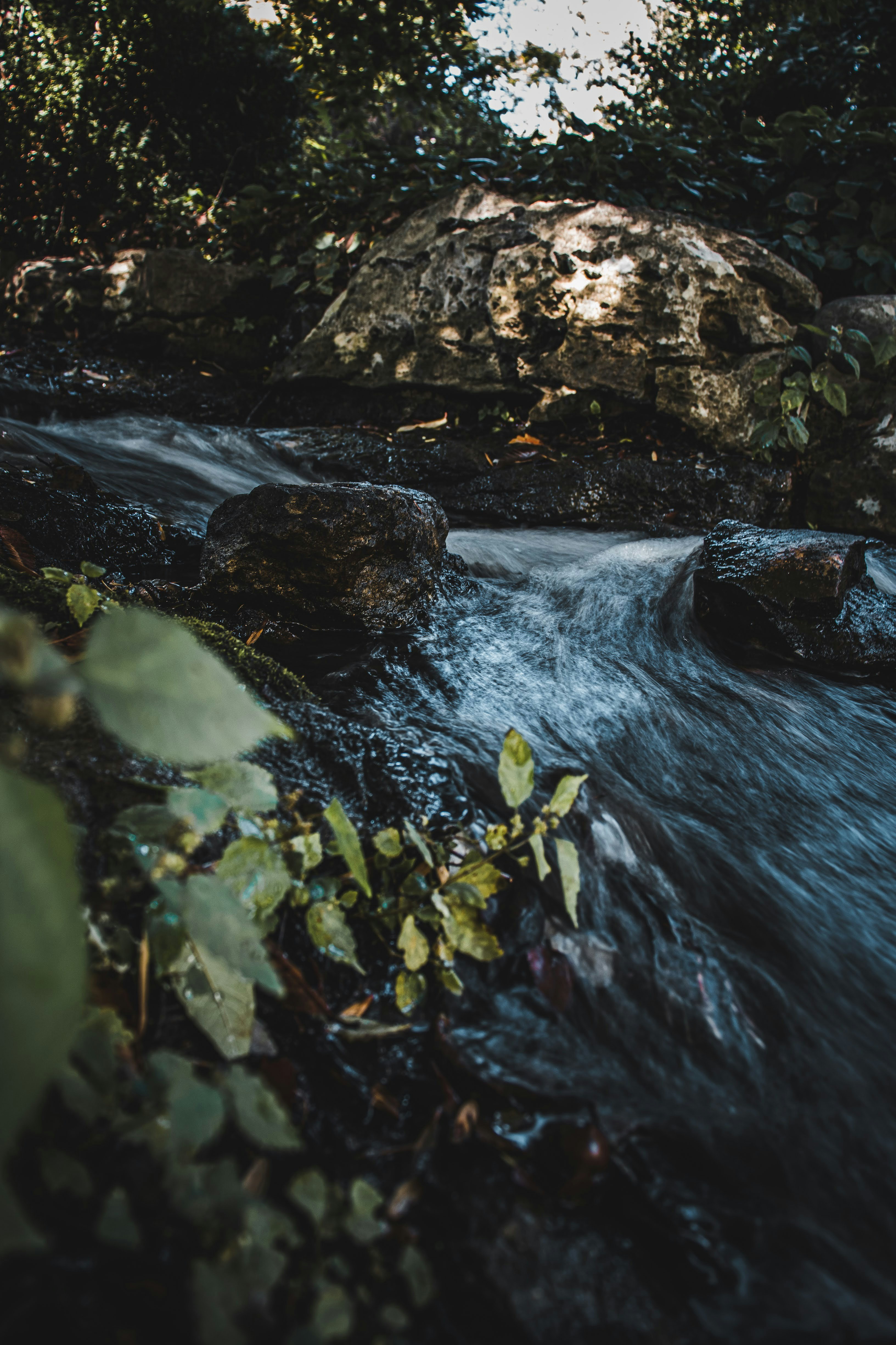 Photo by brice_cooper18