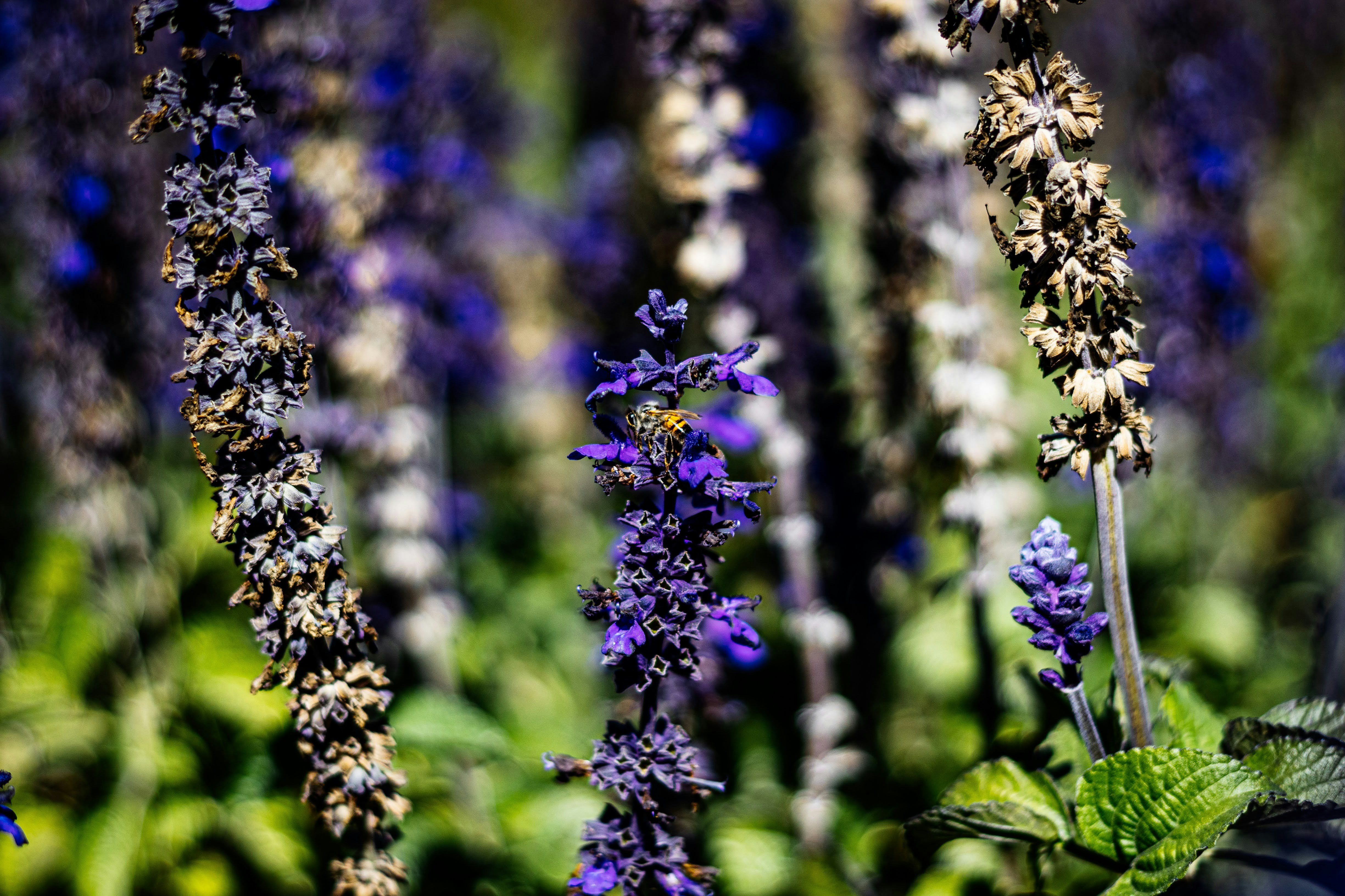 Photo by brice_cooper18