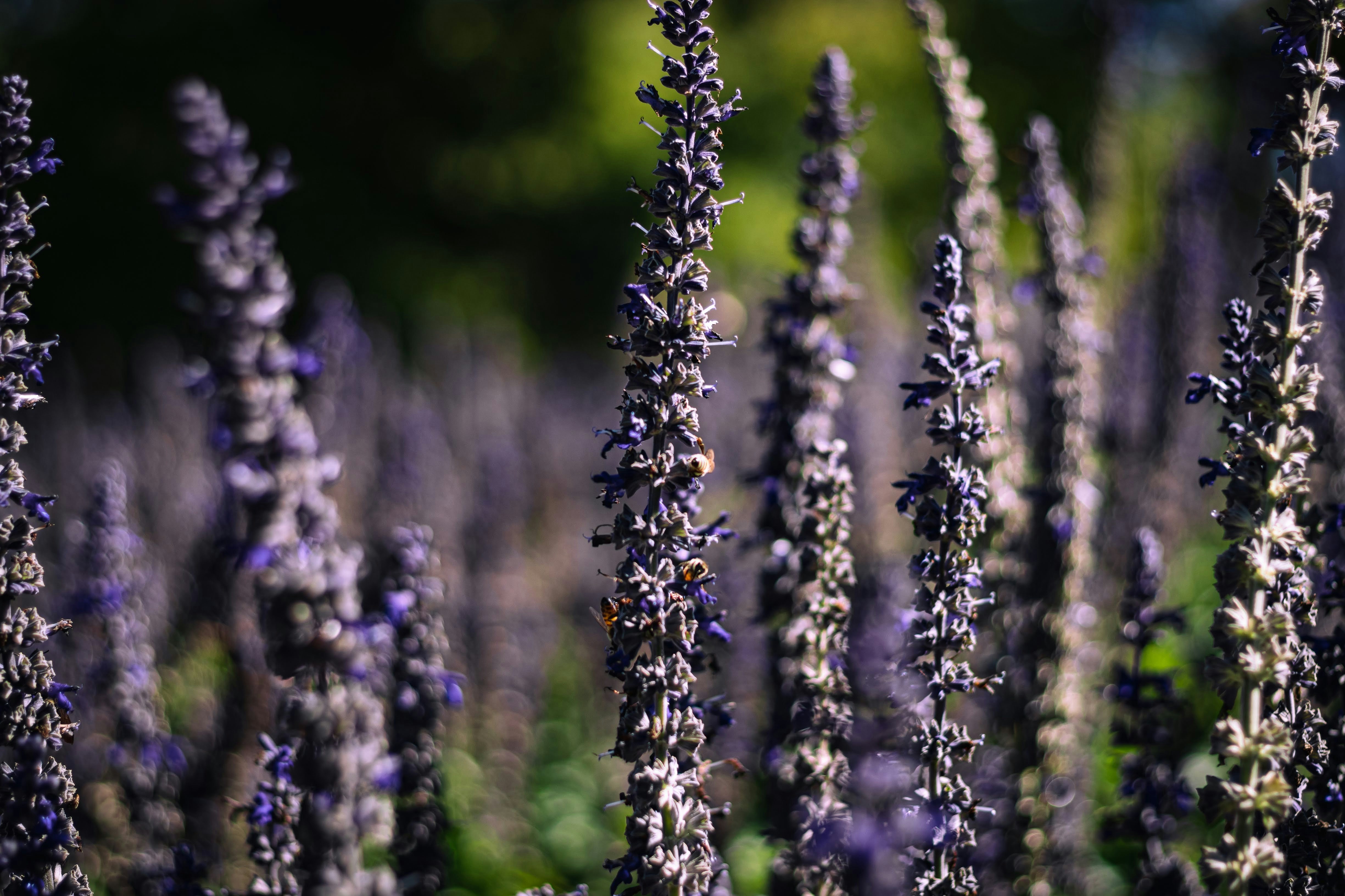 Photo by brice_cooper18