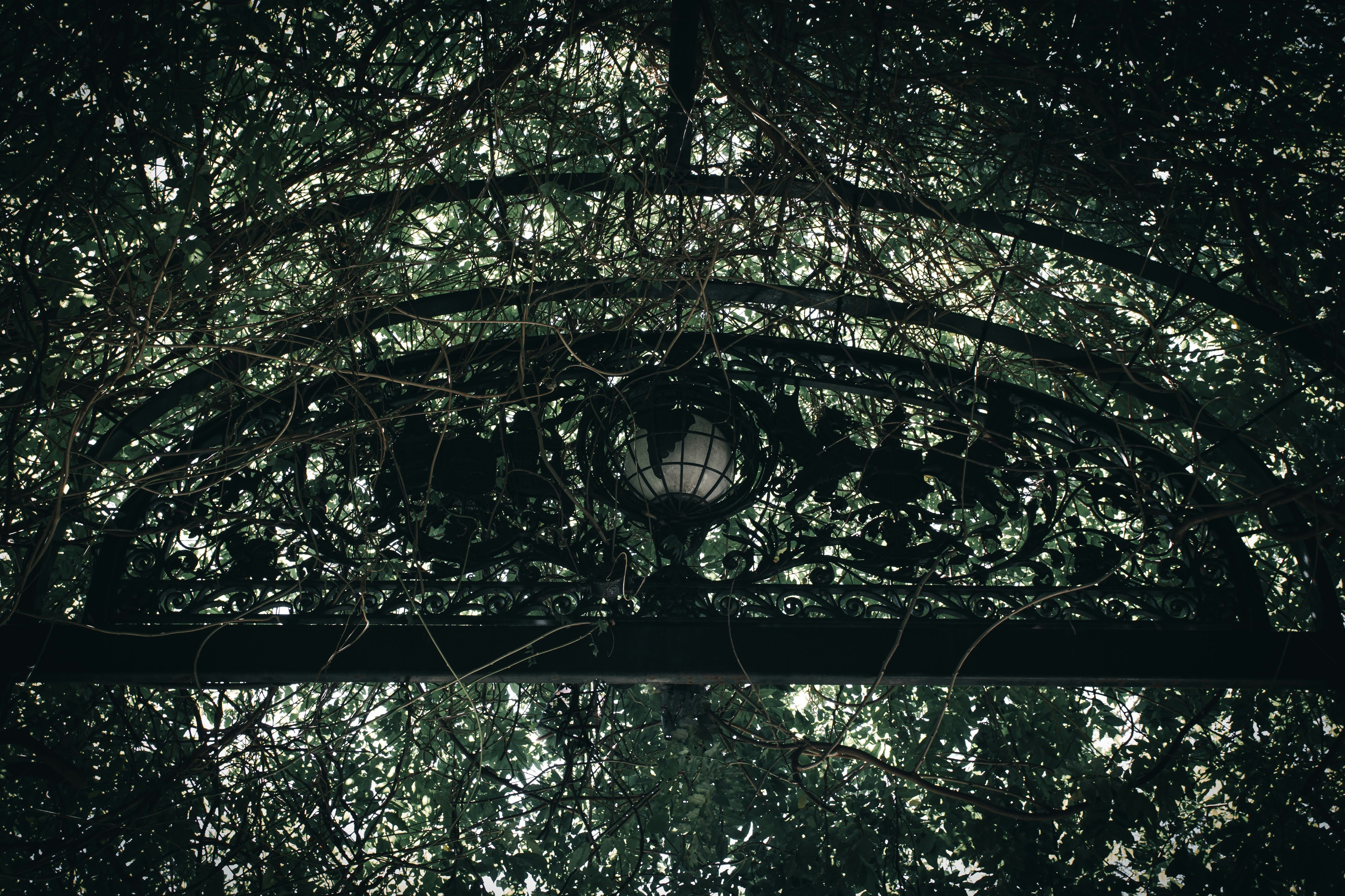 Photo by brice_cooper18