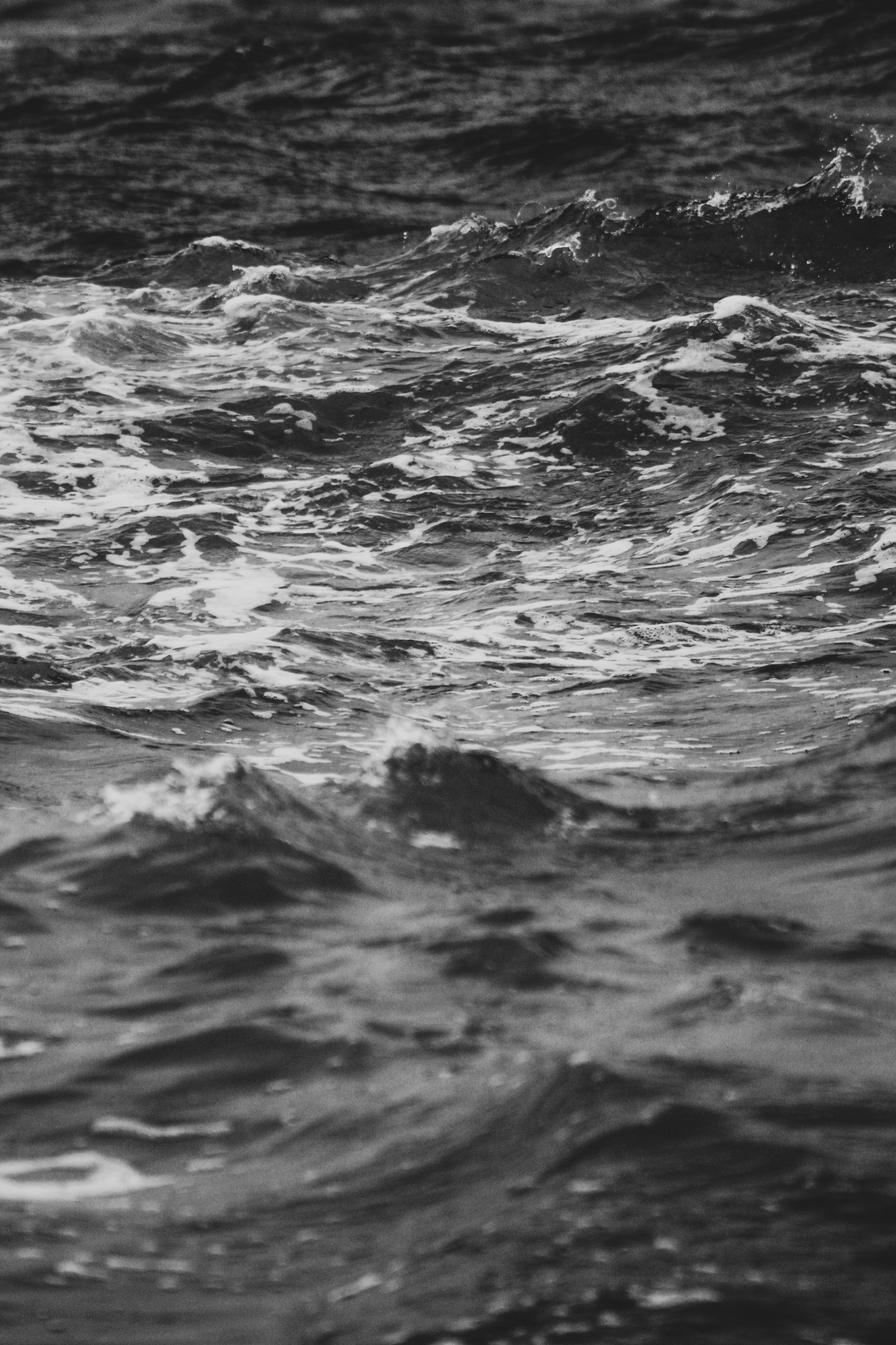 Photo by focalinsight