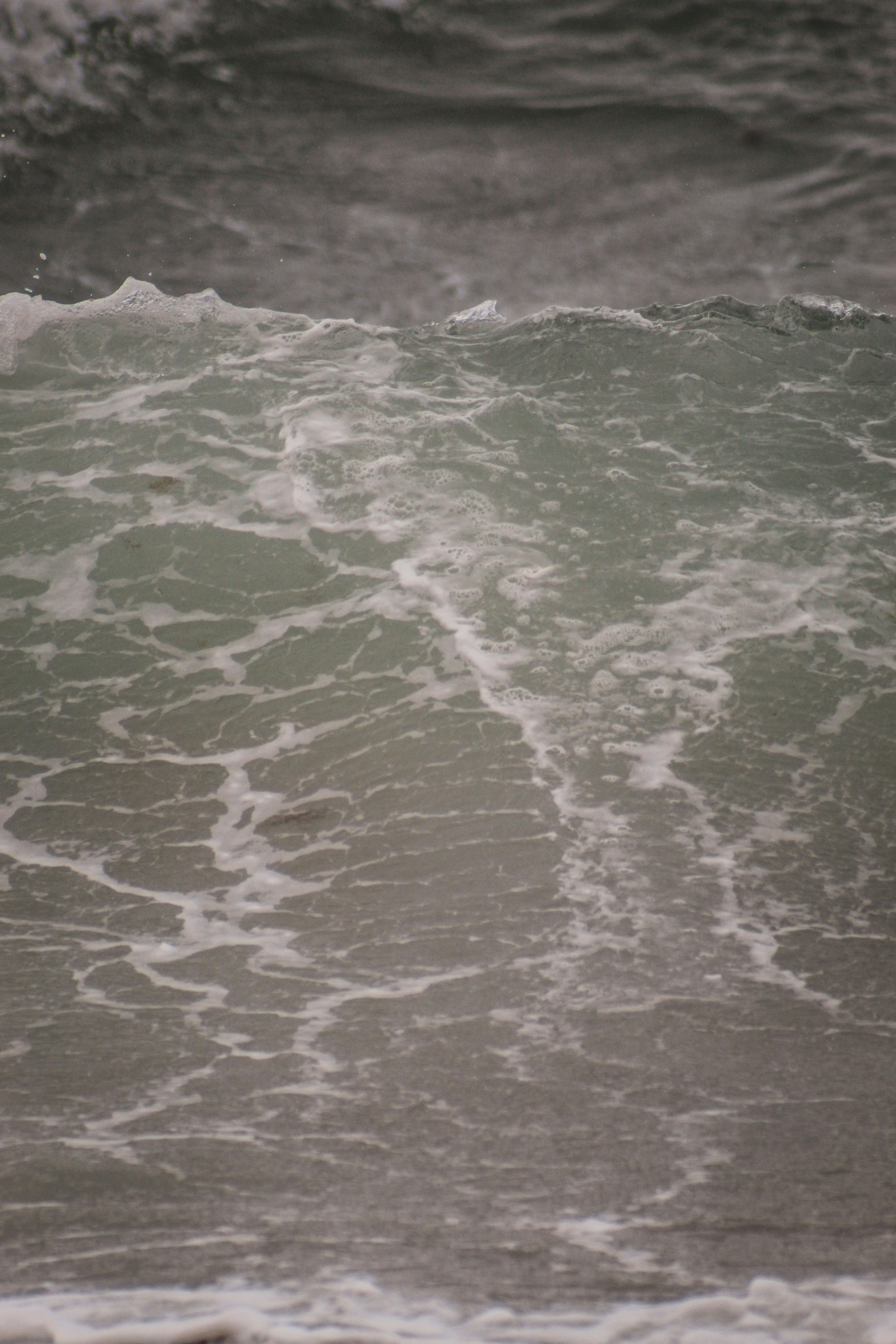 Photo by focalinsight