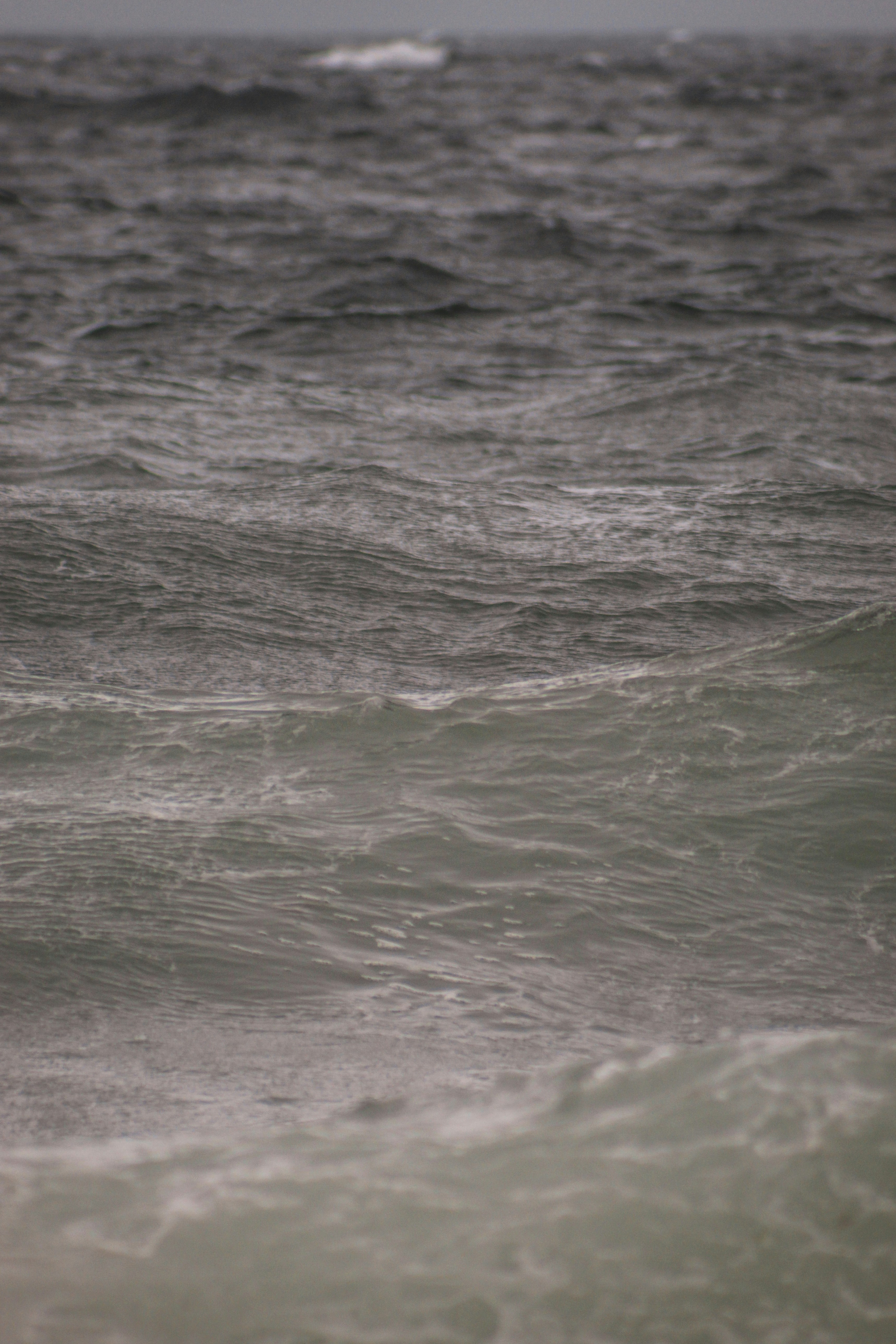 Photo by focalinsight