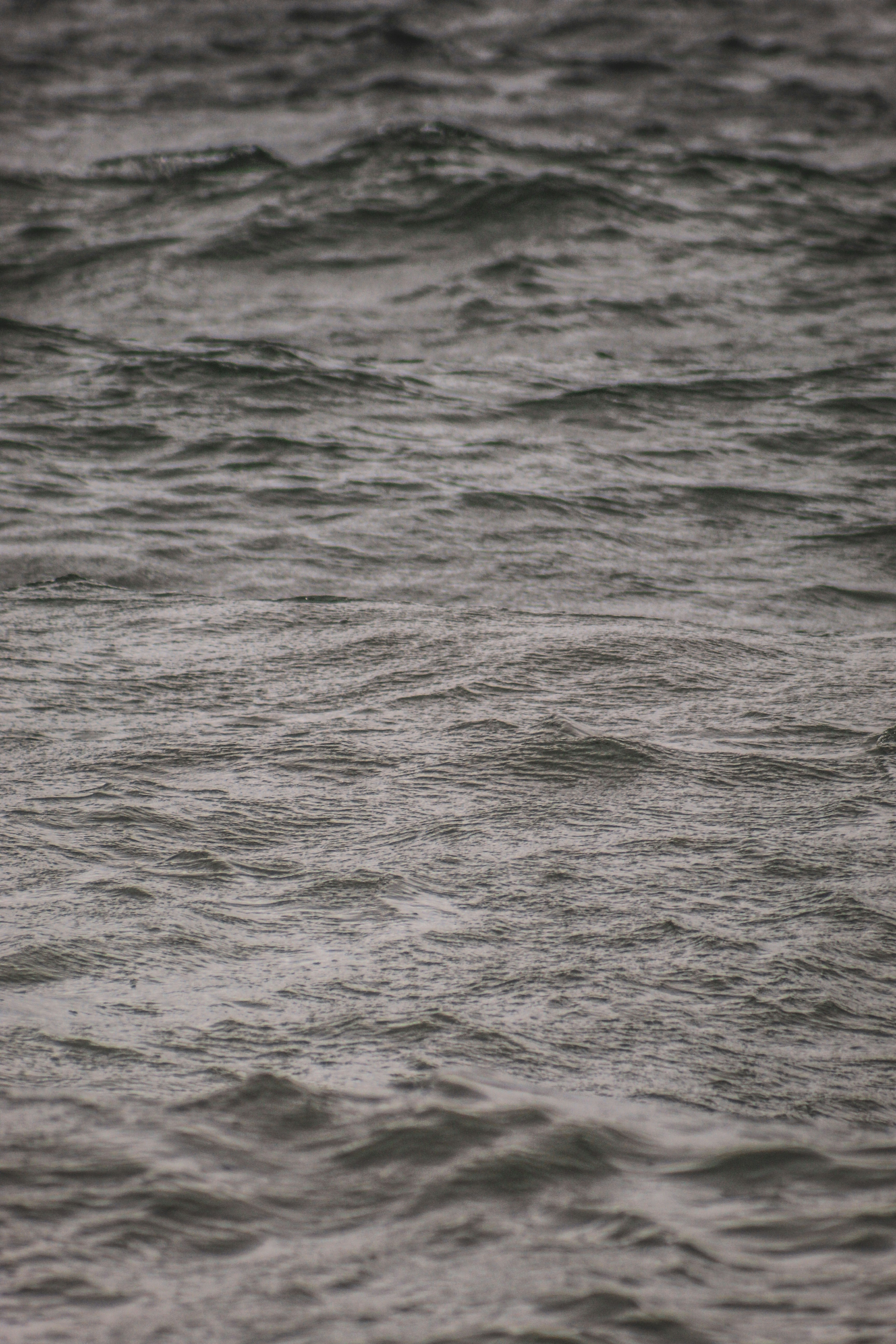 Photo by focalinsight