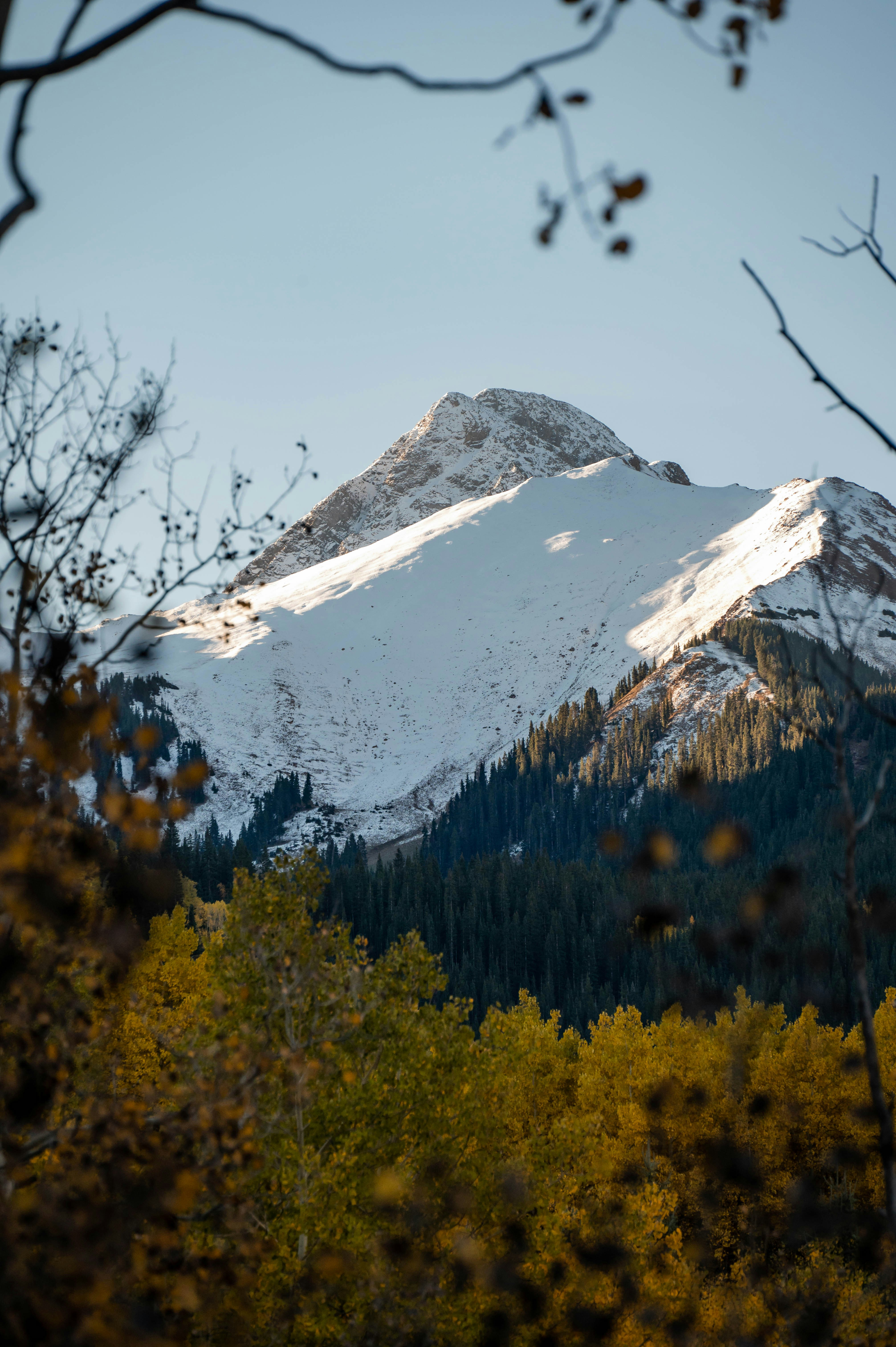 Photo by madisonkuhn