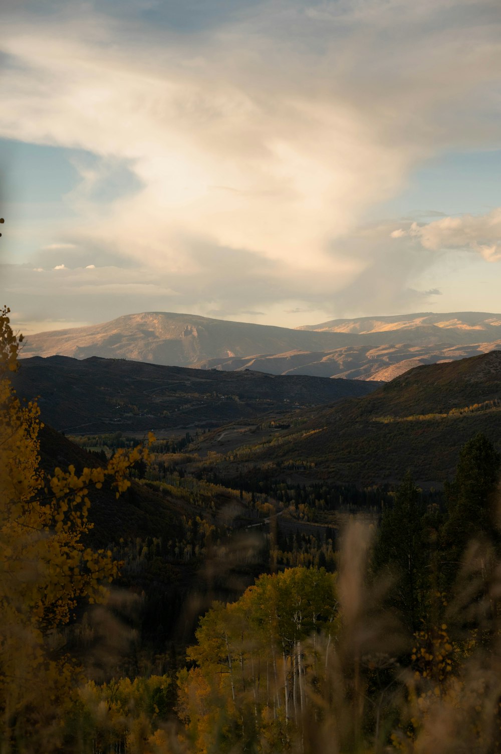 a river running through a valley