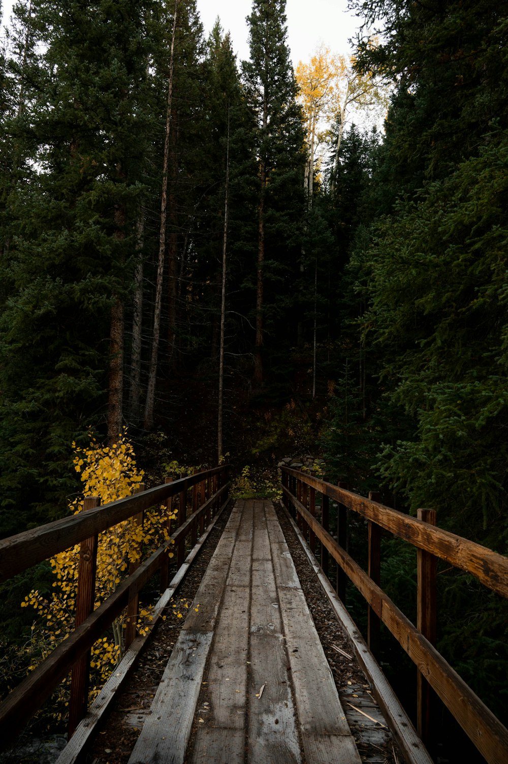 a wooden bridge in the woods