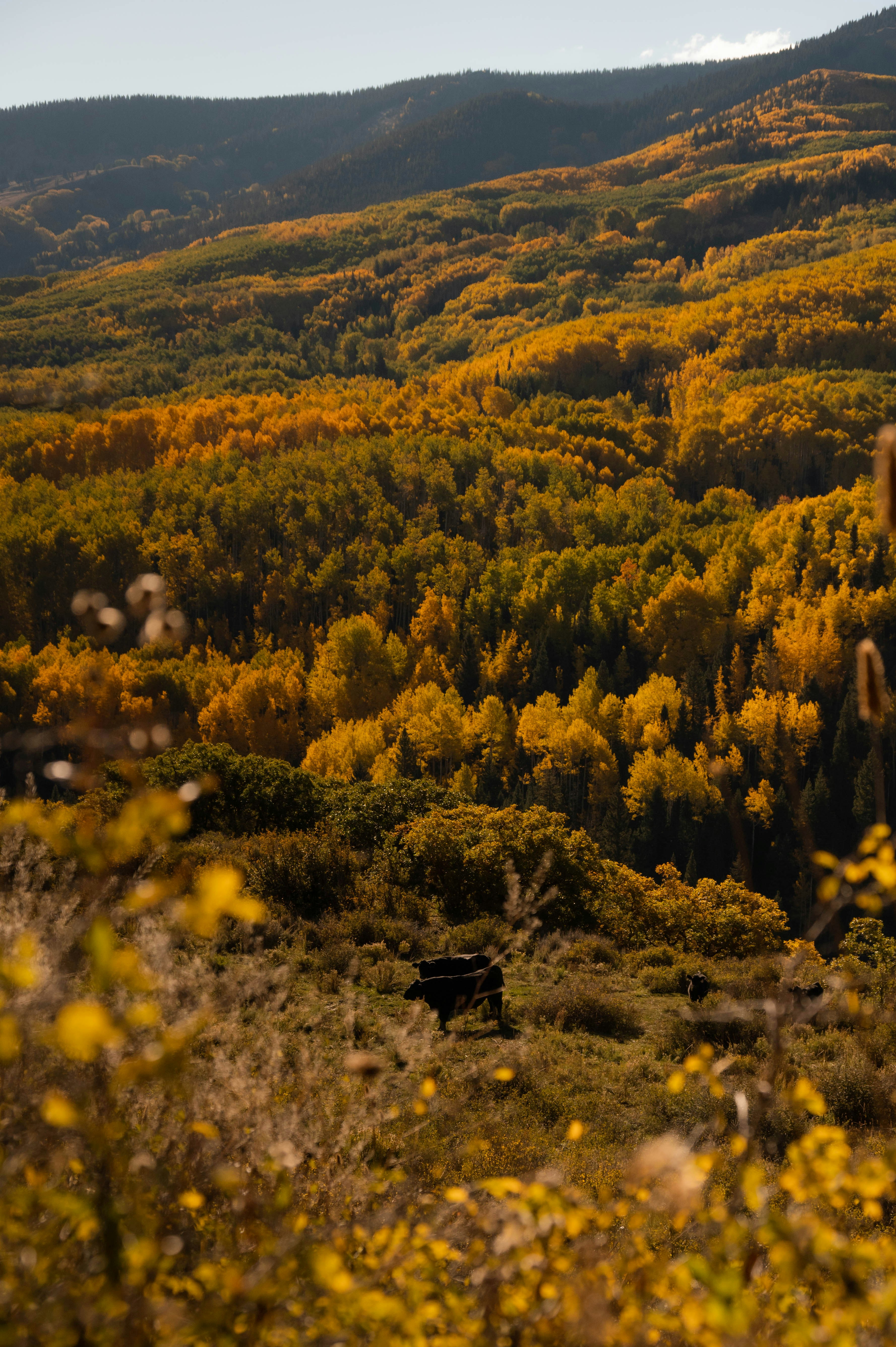 Photo by madisonkuhn