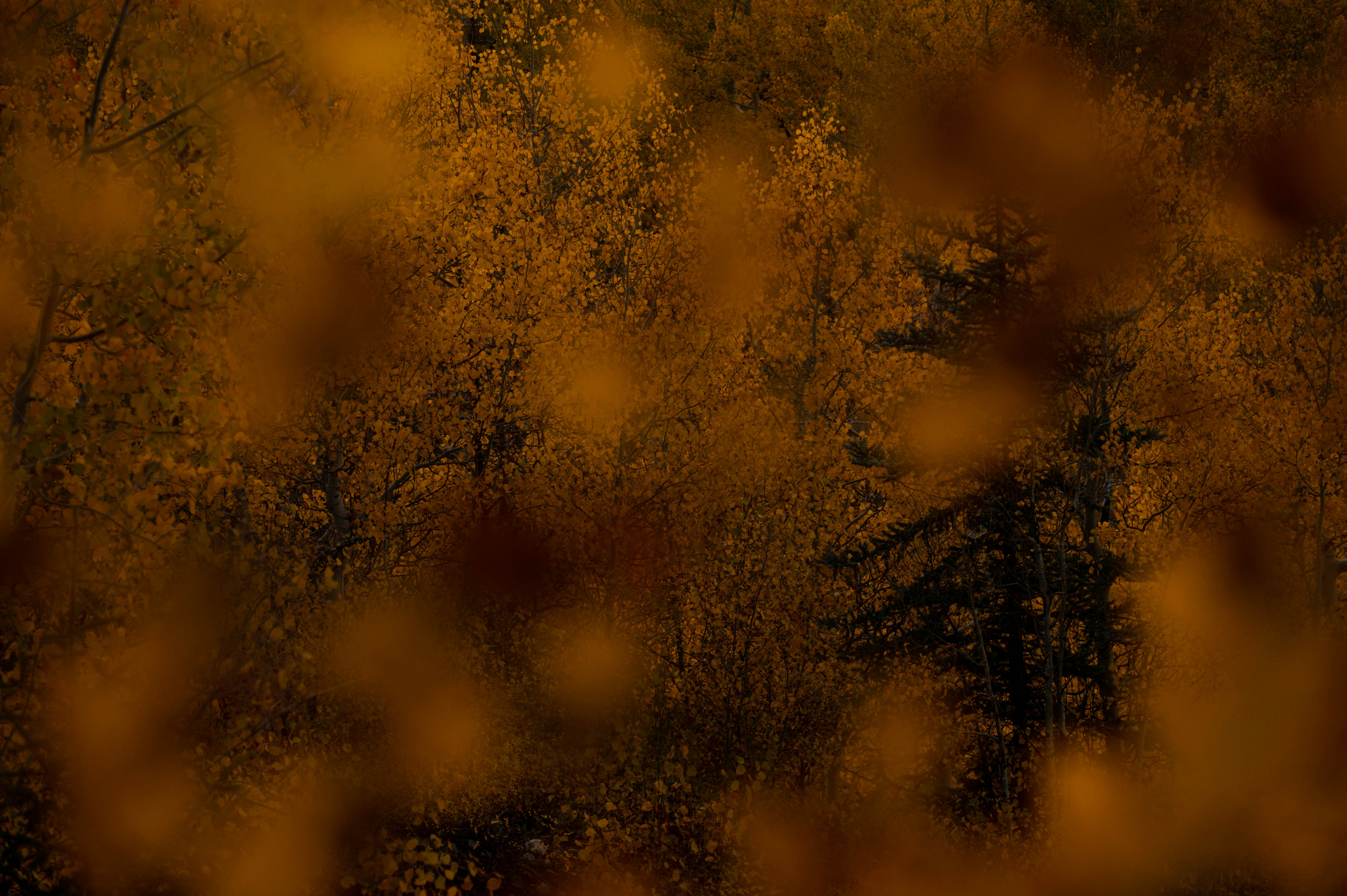 Photo by madisonkuhn