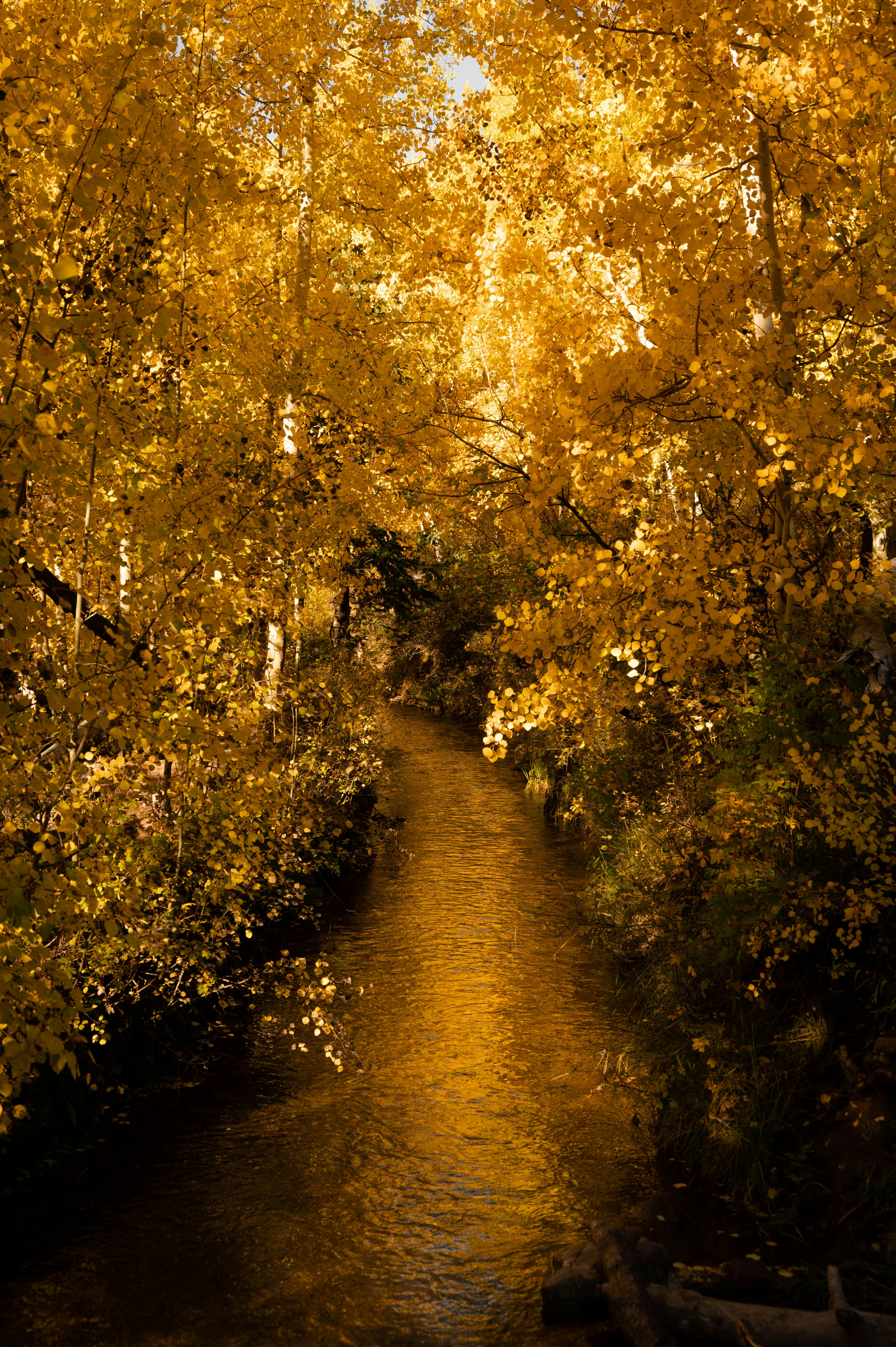 Photo by madisonkuhn