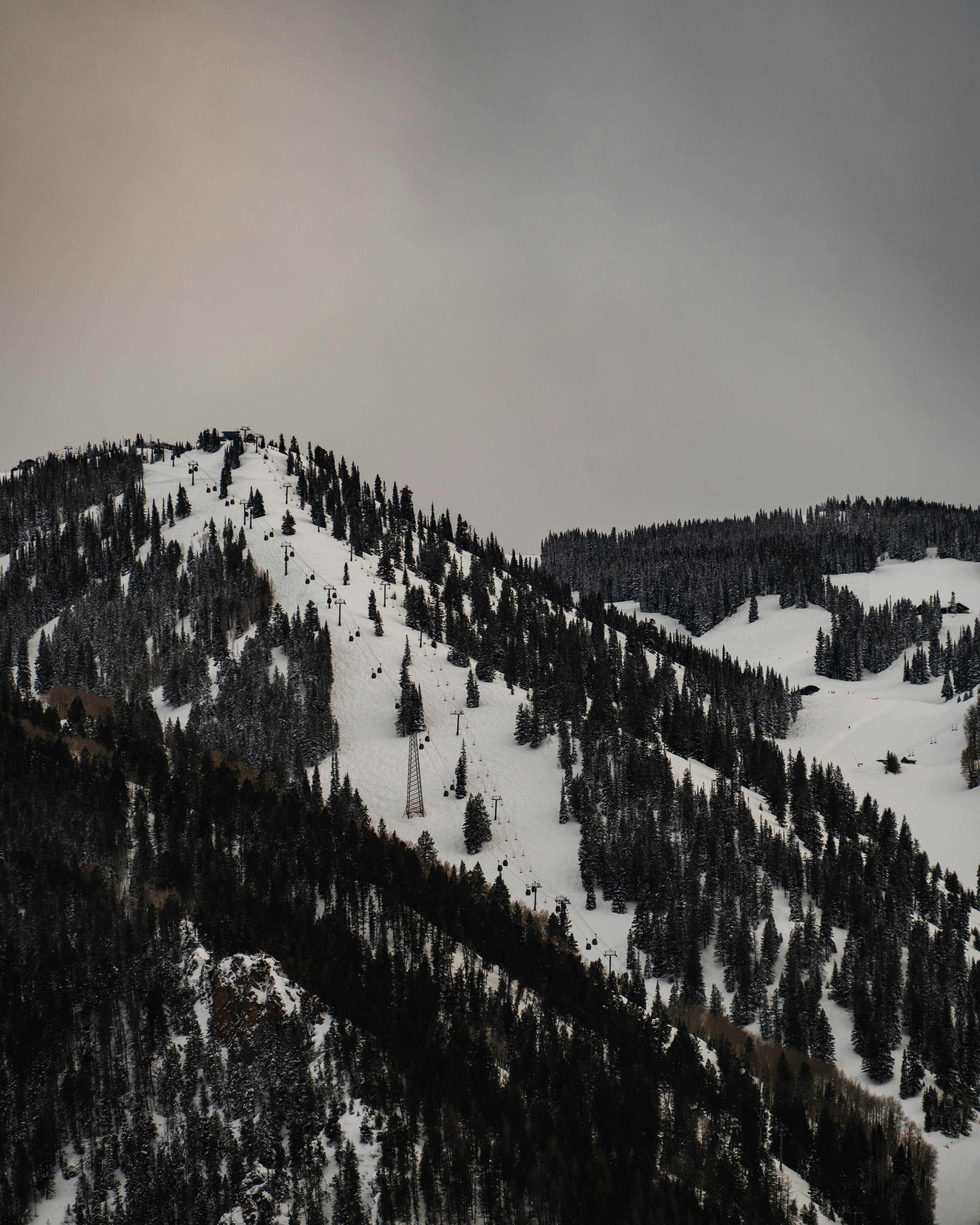 Photo by madisonkuhn