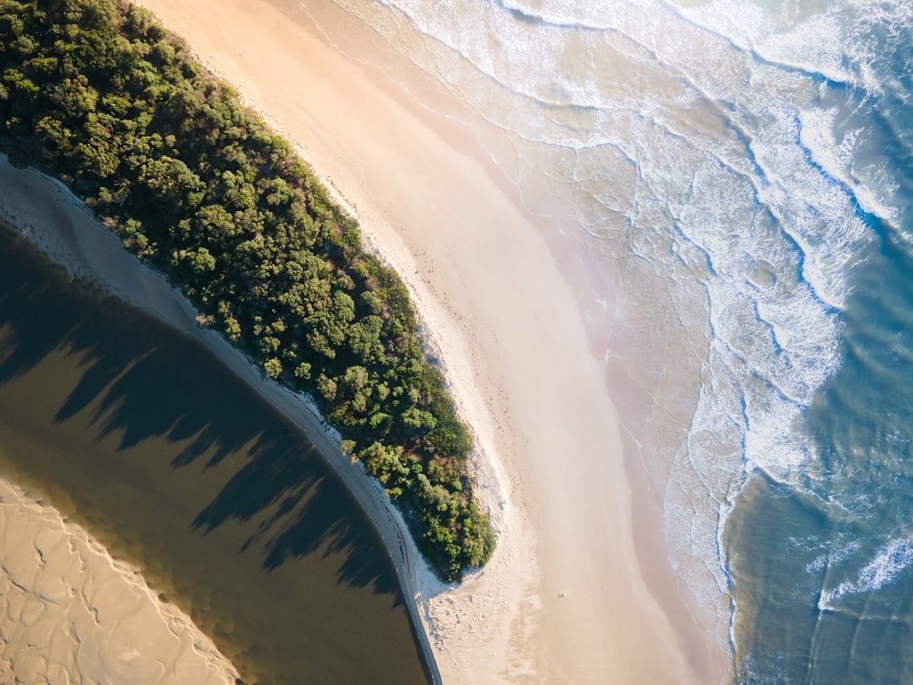 a beach with a body of water