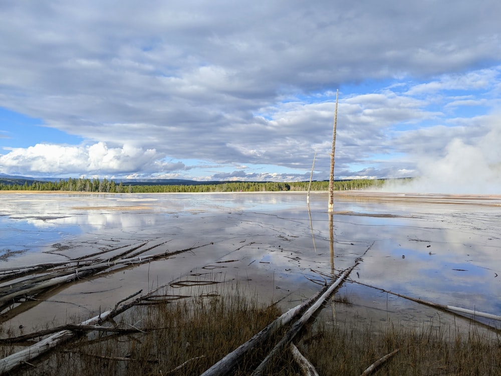 a body of water with a wooden pole in it