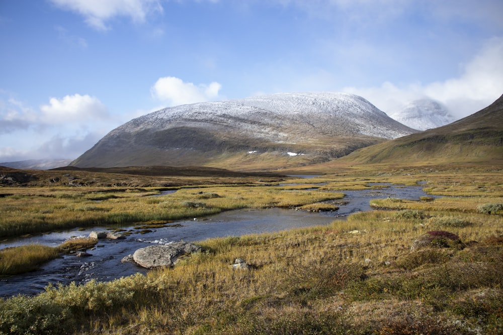 a stream running through a grassy area with a mountain in the background