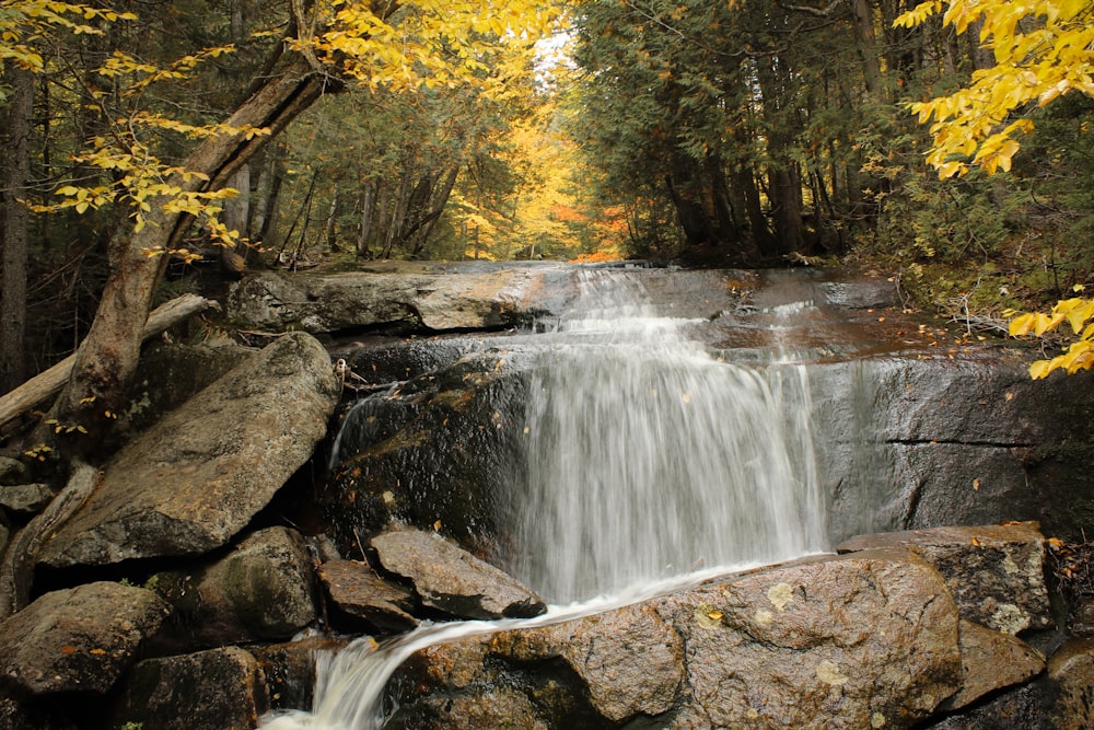 a waterfall in a forest