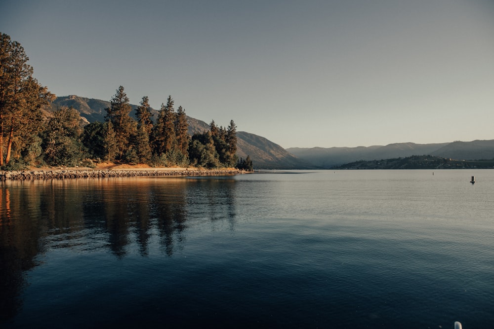 a body of water with trees on the side