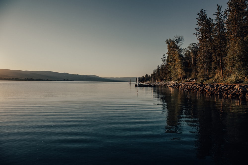 a body of water with trees on the side