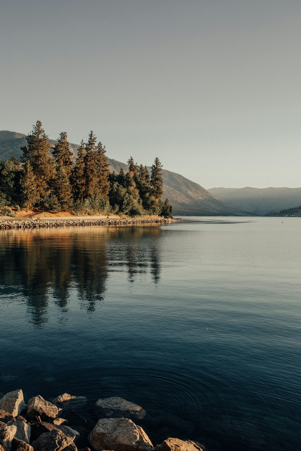 a body of water with trees and mountains in the background