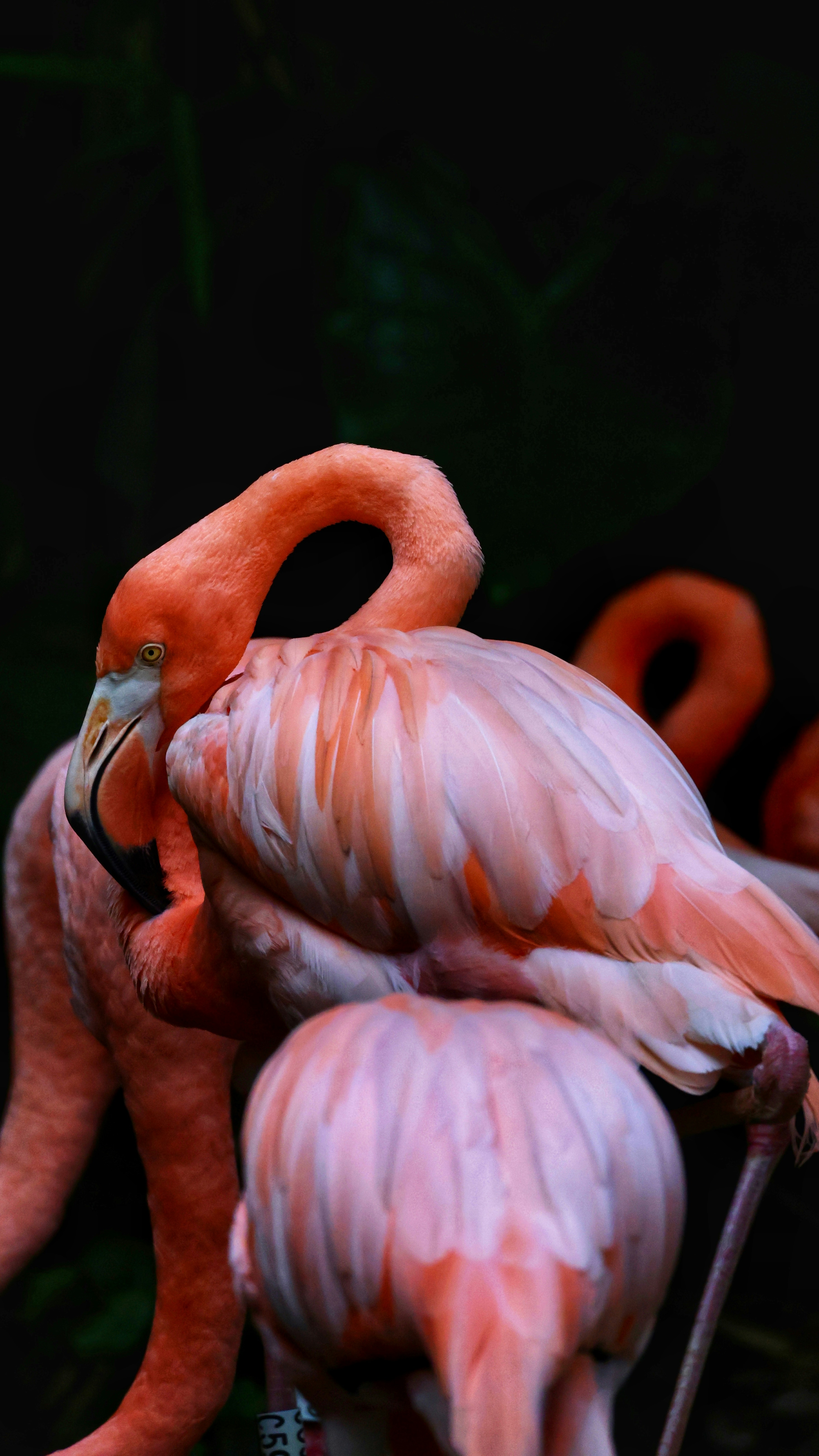 Photo by dickenslin76