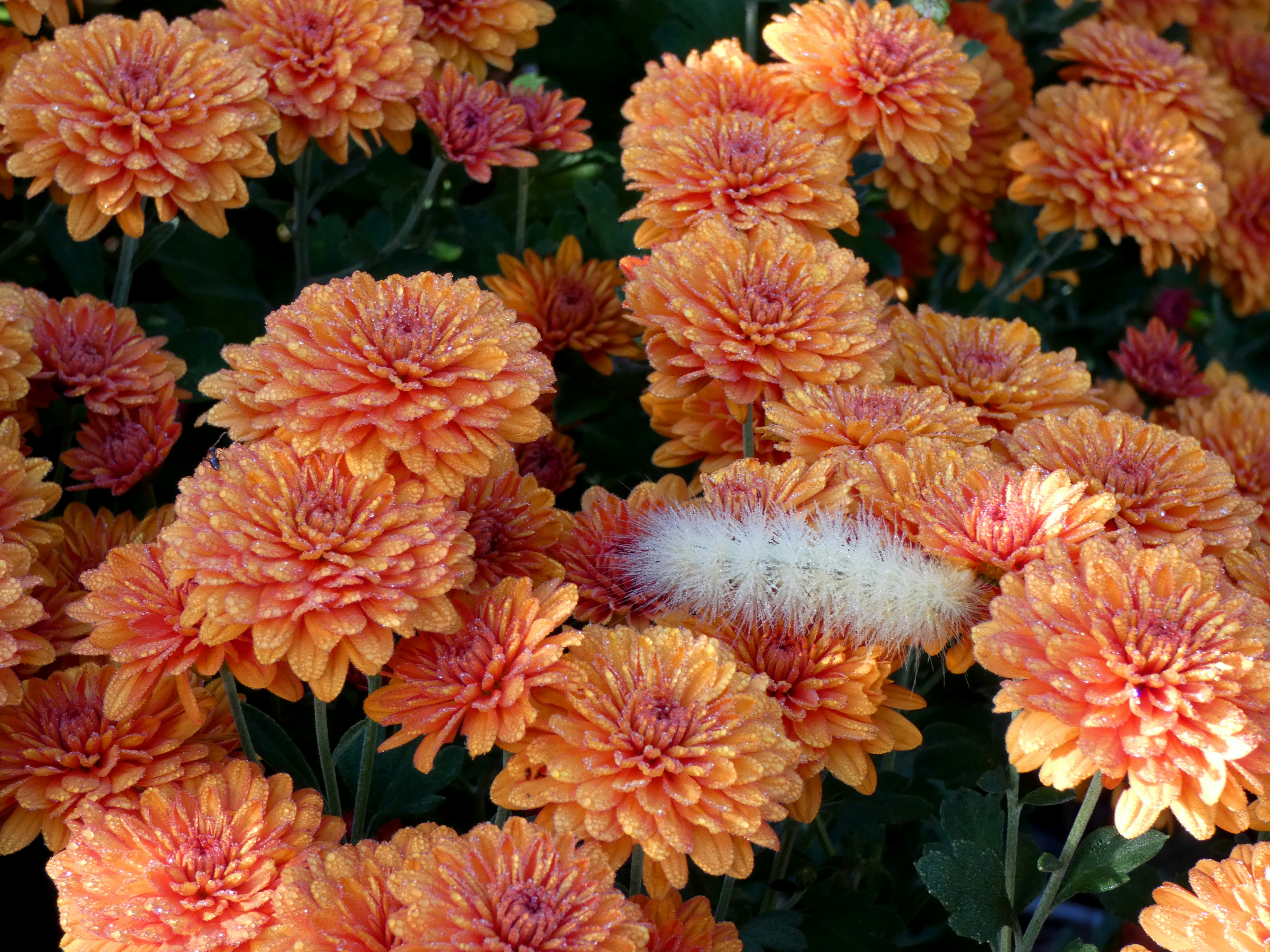 Photo by anniethingspossible