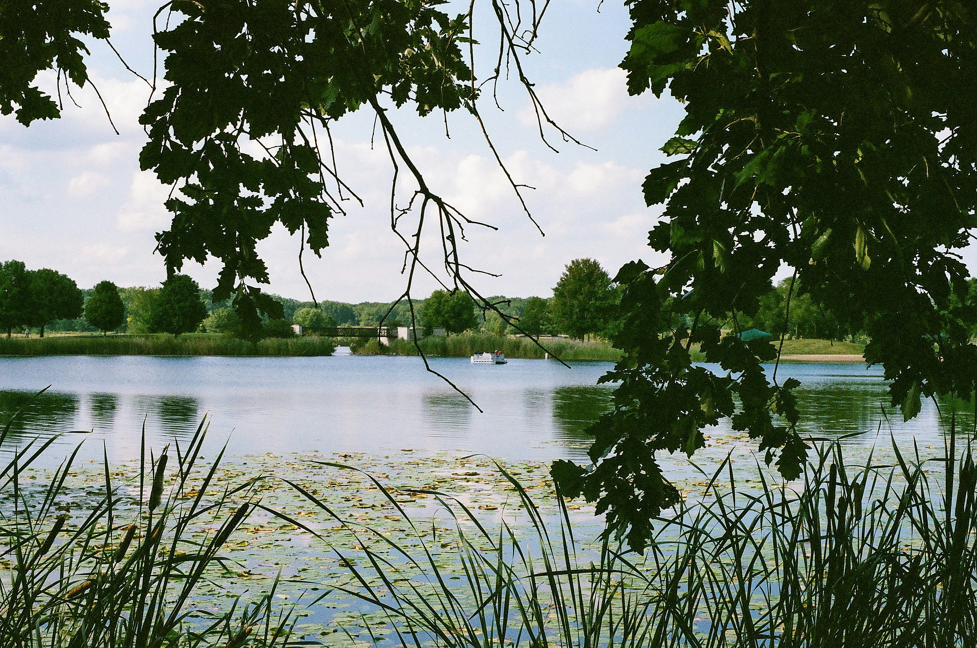 Photo by anastasiiastas