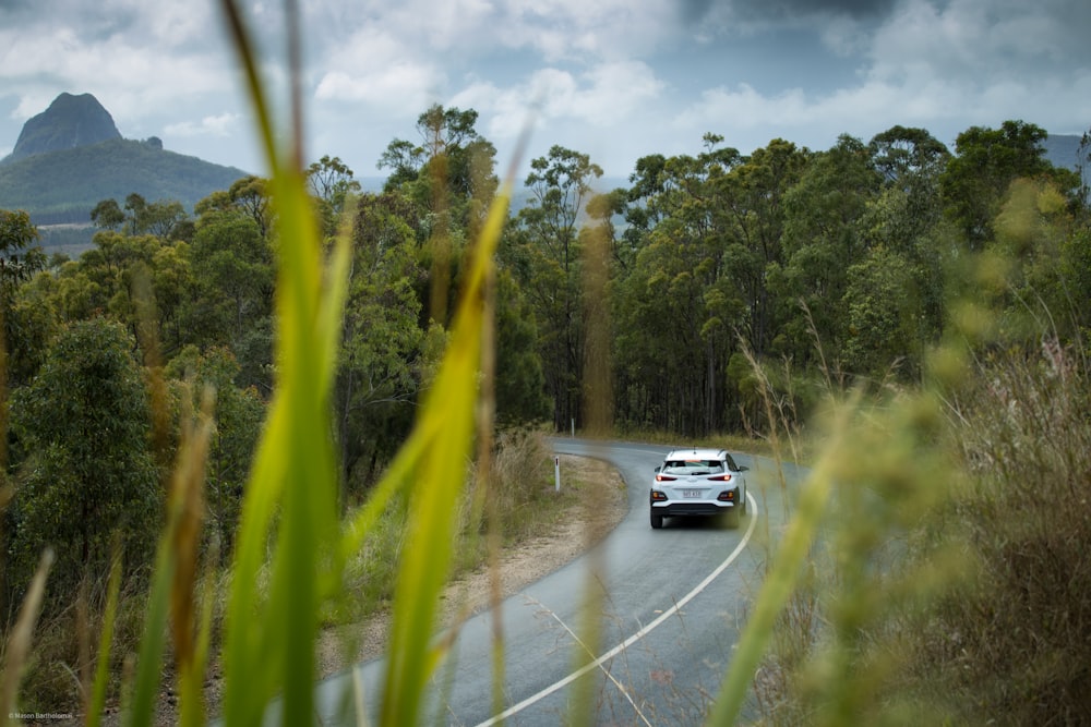 a car driving on a road surrounded by tall grass