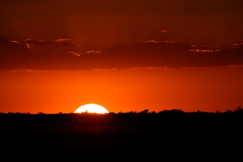 a sunset over a forest