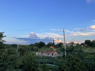 A rural landscape with a small house surrounded by lush green vegetation and trees. Power lines run across the scene, and in the distance, there are larger buildings and a tall tower. The sky is expansive and blue with large, fluffy clouds.