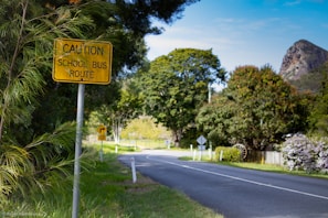 A rural road with lush greenery on both sides, including various trees and shrubs. A yellow caution sign stating 'School Bus Route' is prominently visible on the left side of the road. The road curves gently to the right and is flanked by white markers. In the background, there is a hill or small mountain under a partly cloudy blue sky.