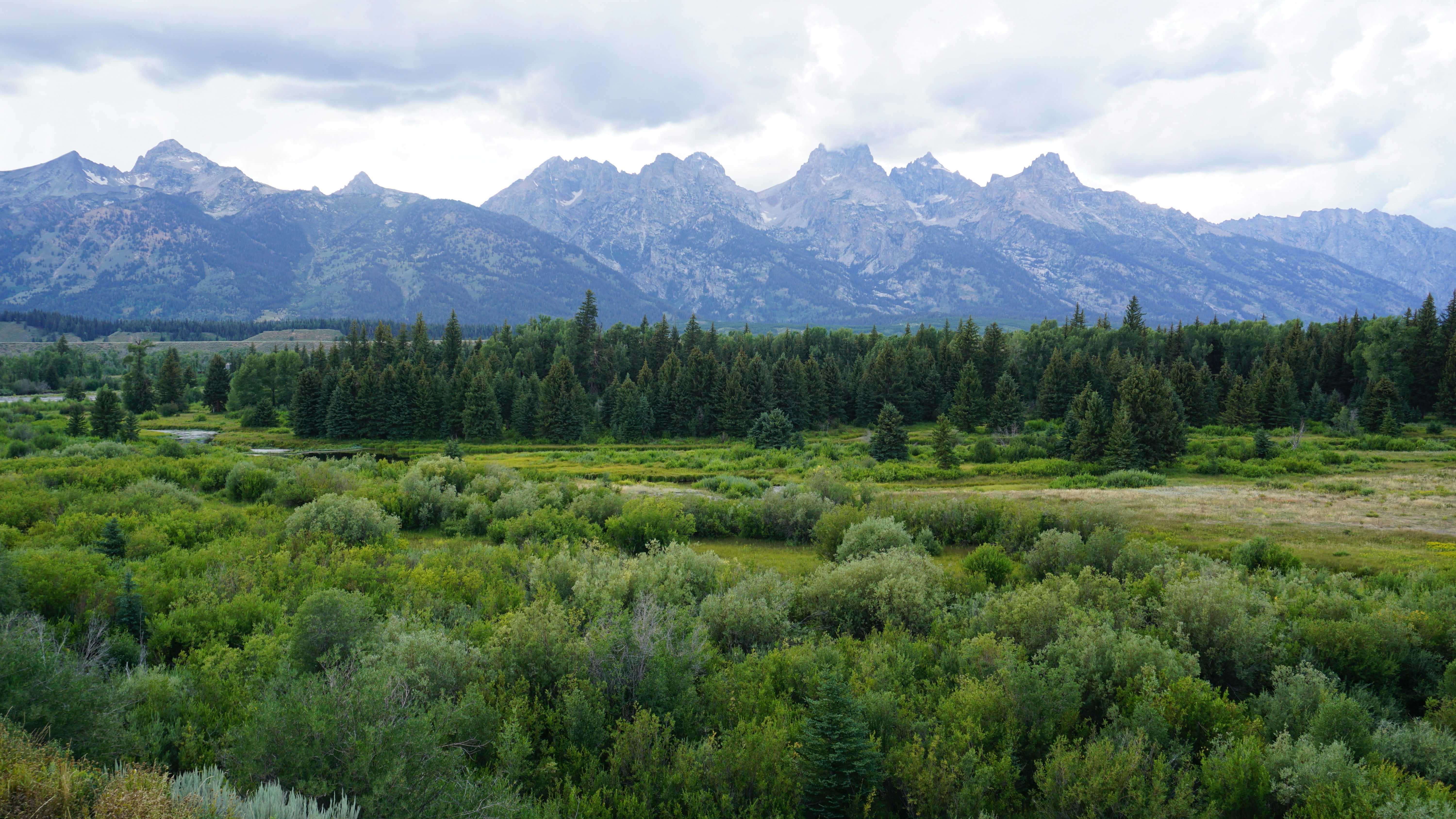 a landscape with trees and mountains in the background