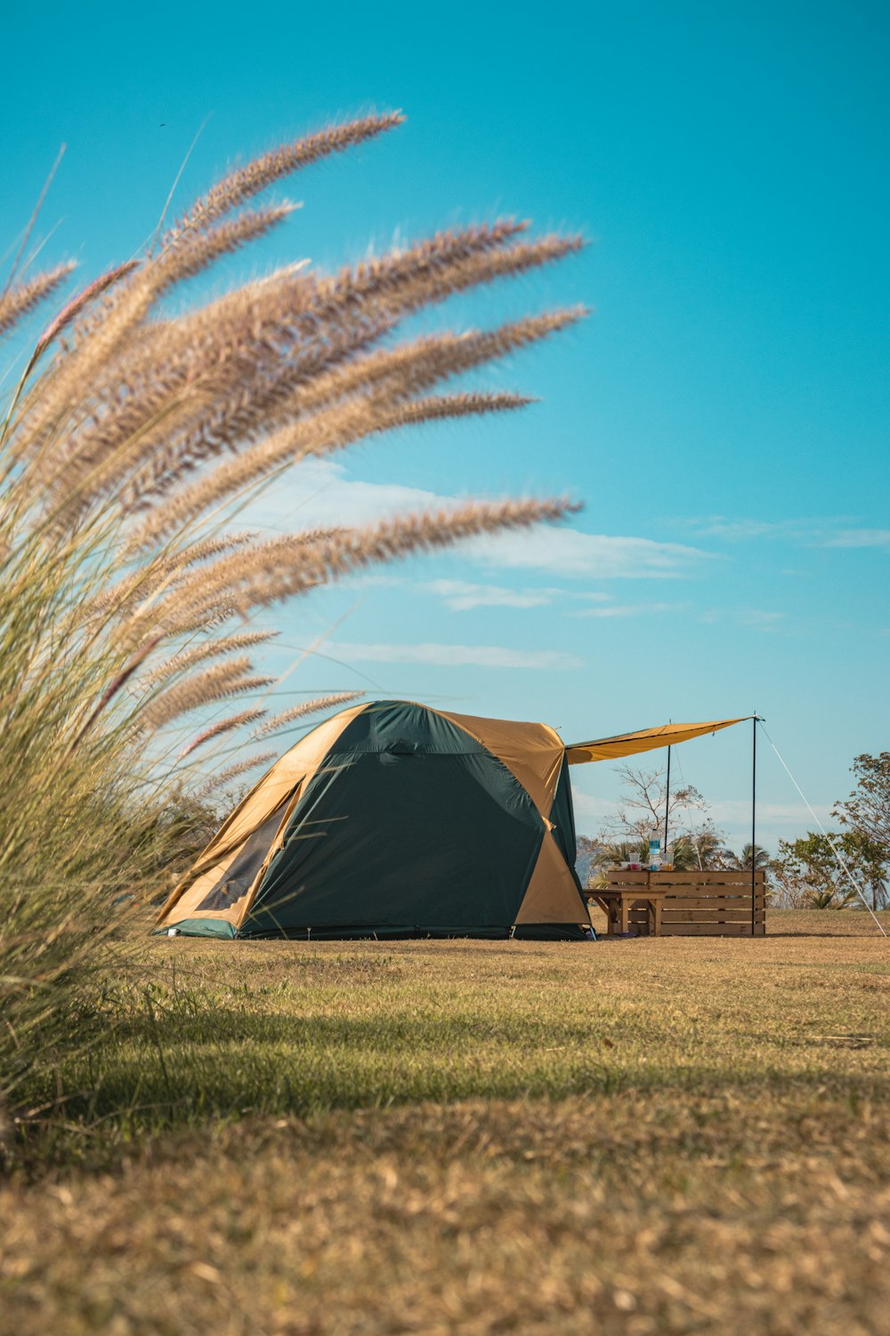 a tent in a field