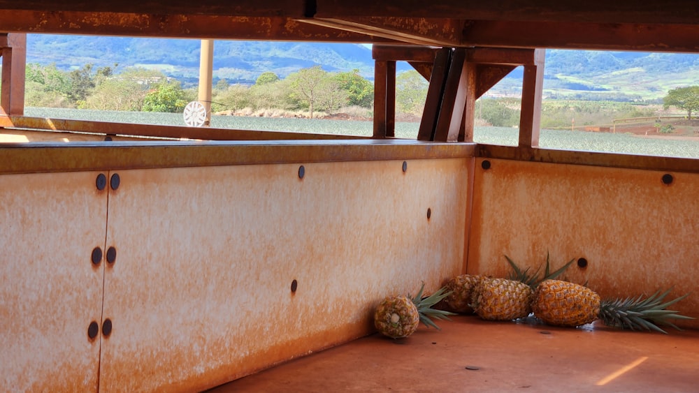 a wooden cabinet with a couple of pineapples in it