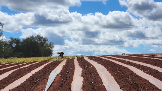 A team of young professionals collaborating under the sun with agricultural materials and geosynthetics.