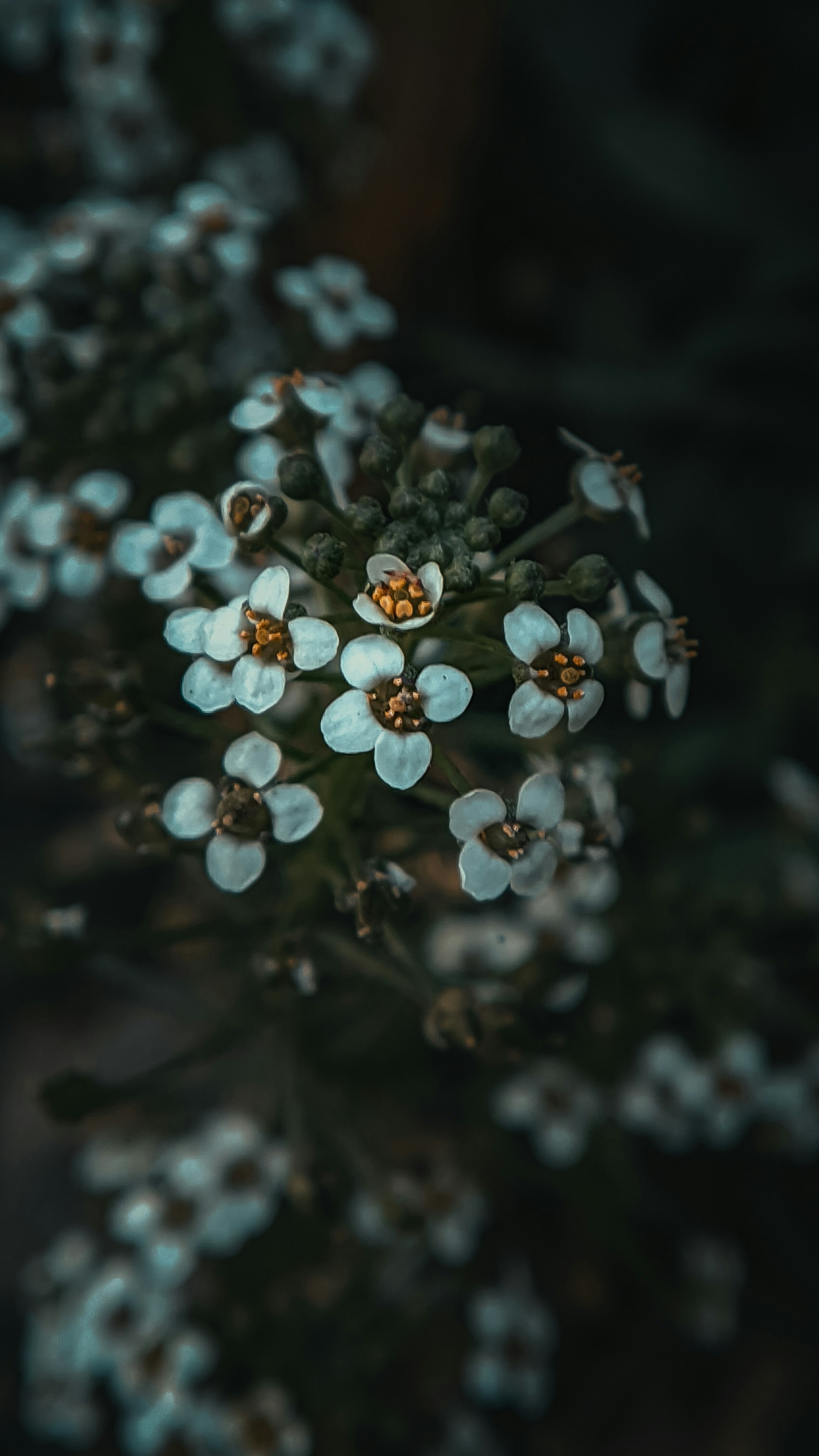 Photo by pixelbyzaki