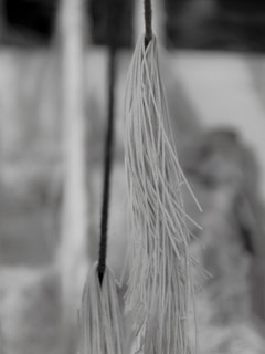 A close-up of a tassel-like object hanging vertically, with fine threads gathered together. The background is blurred, creating a shallow depth of field effect, and the image is in black and white.