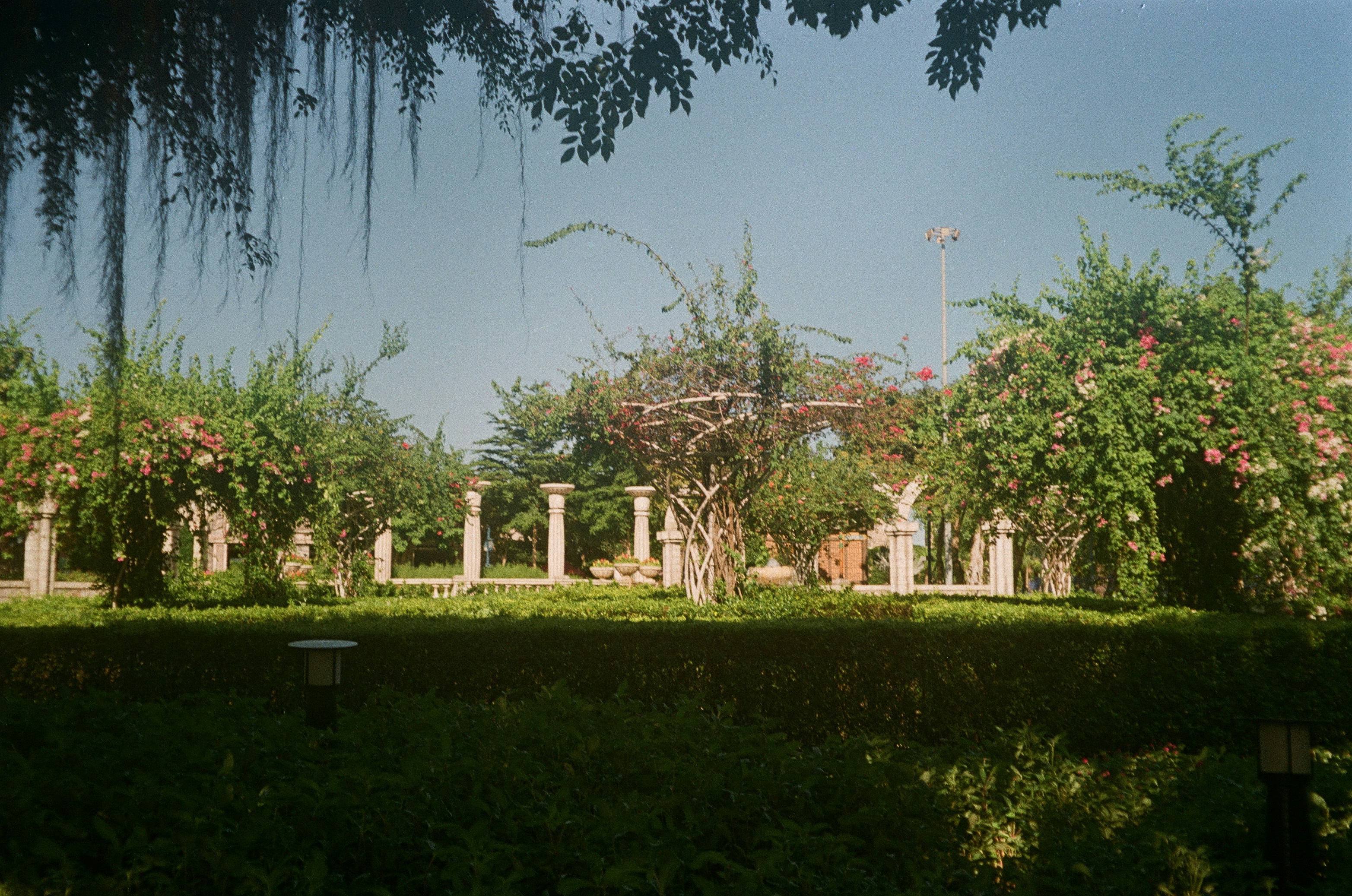 Hacienda Del Rey Menu