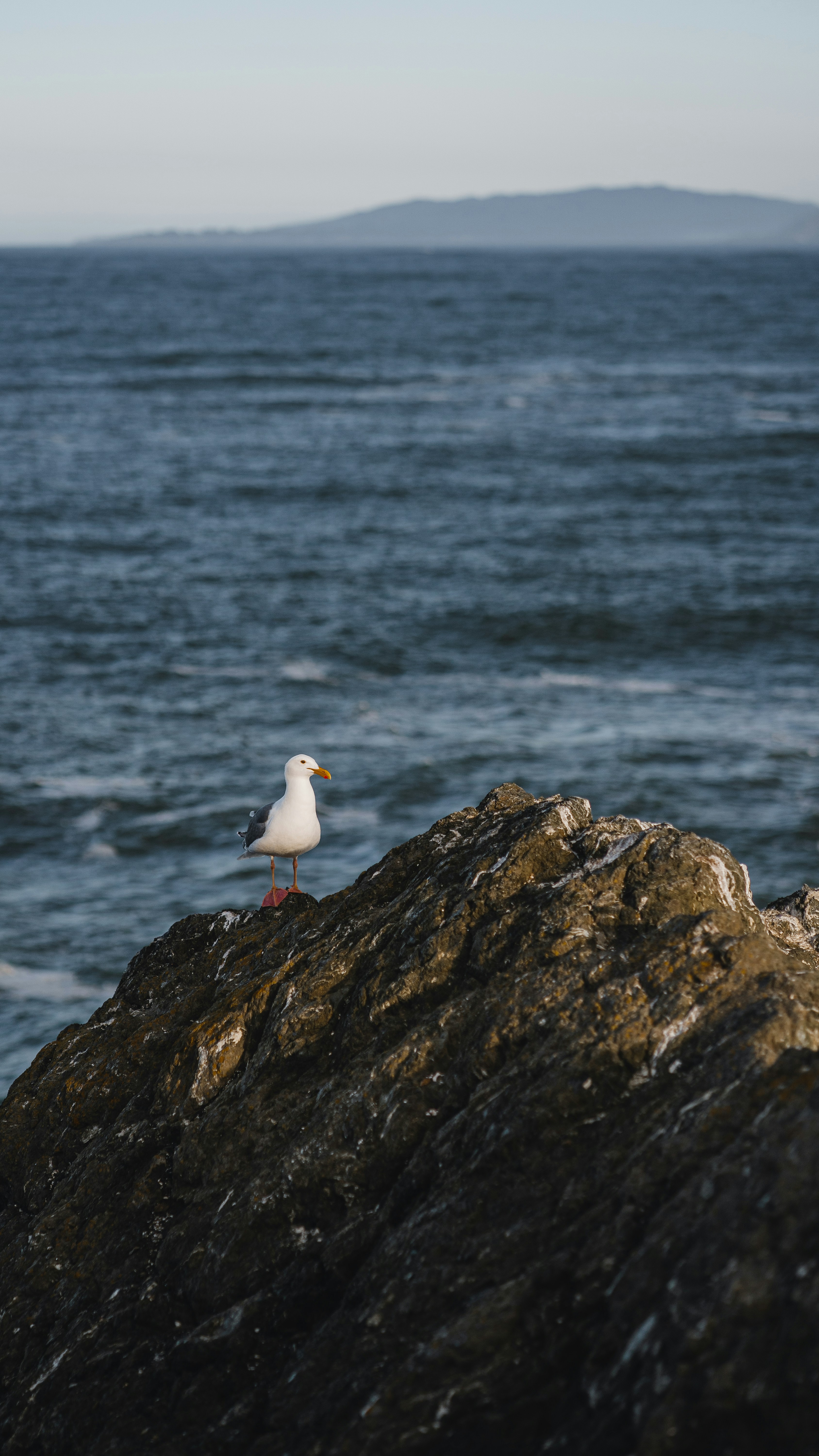 Photo by kalaniparker