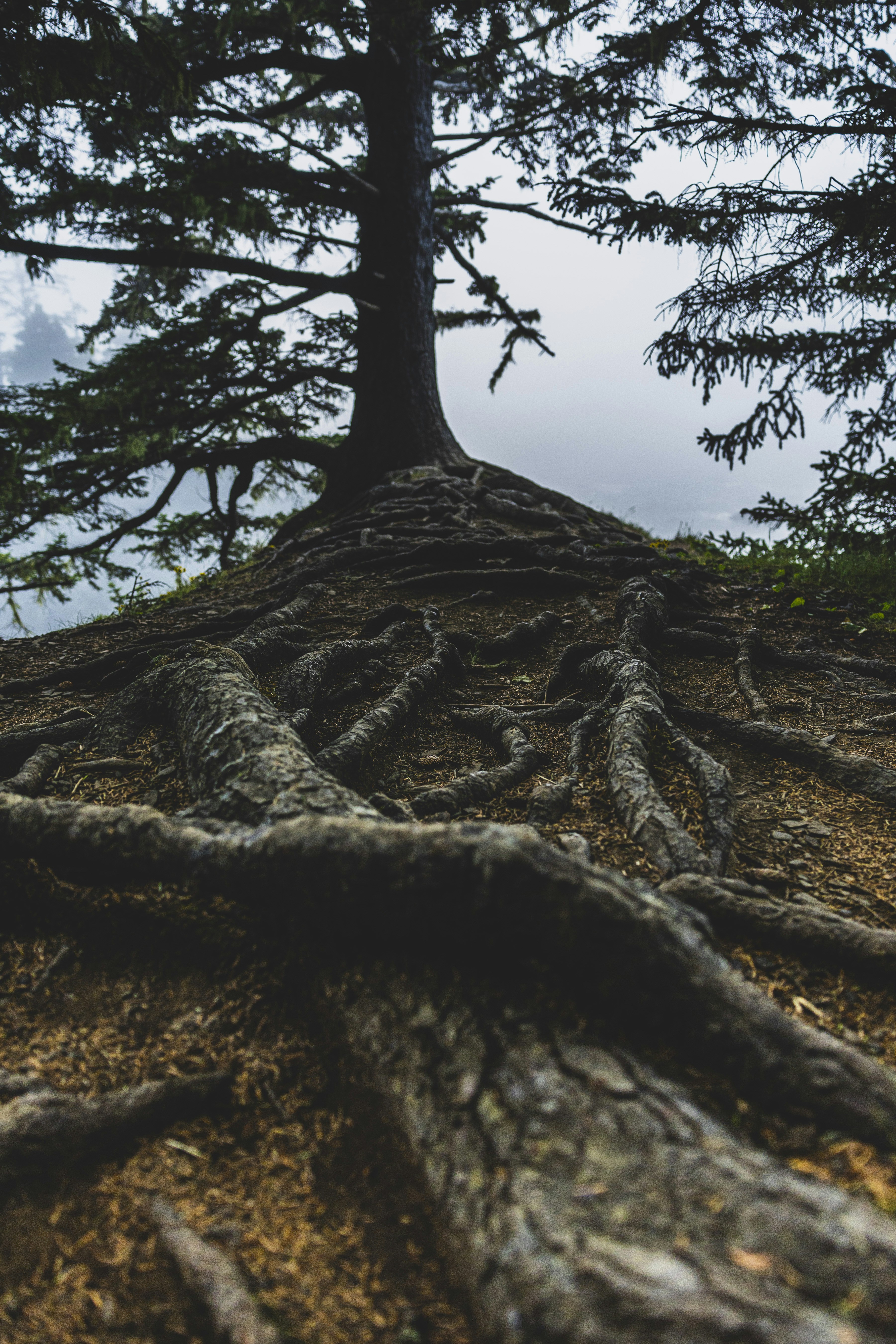 Photo by leo_visions_