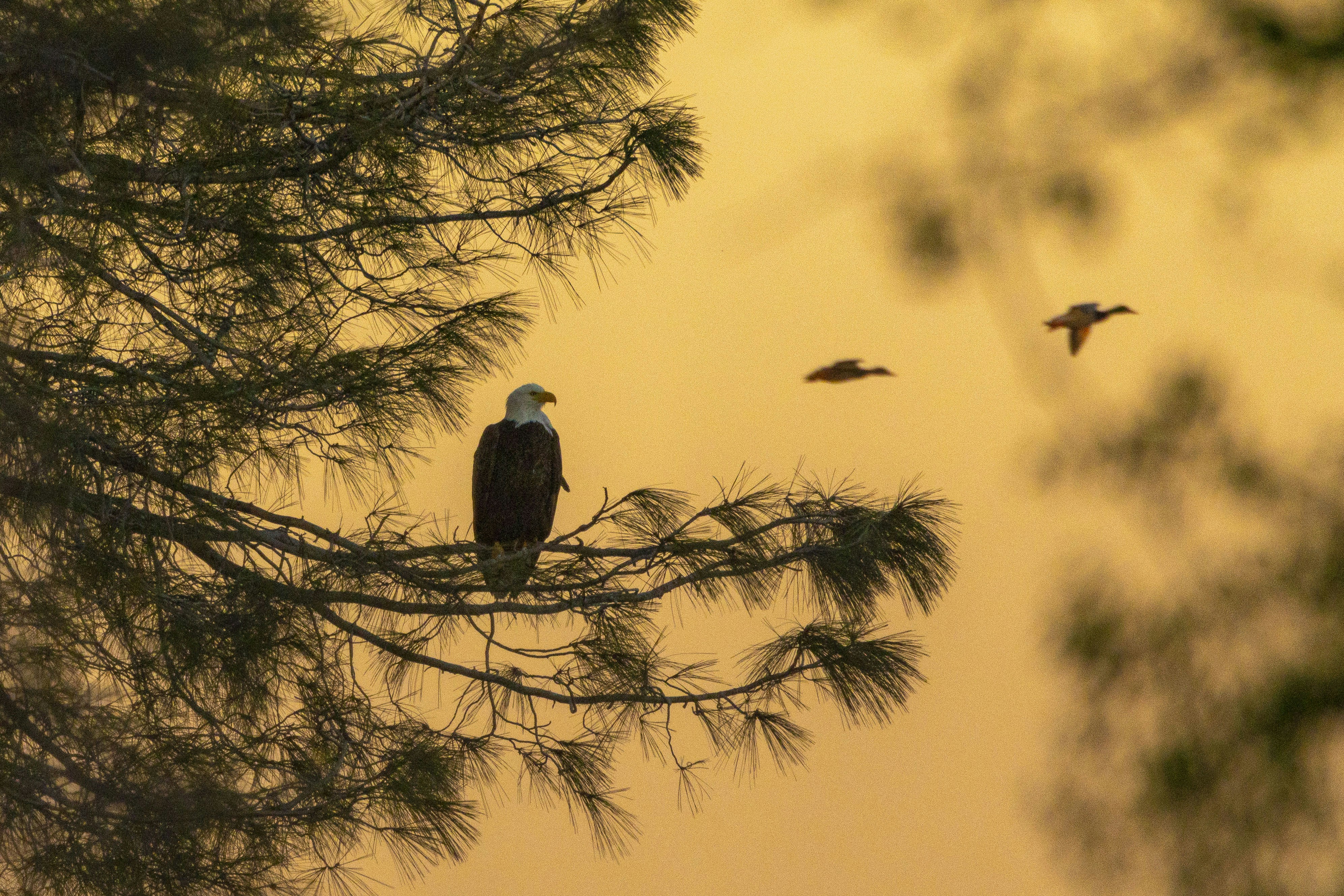 Photo by leo_visions_