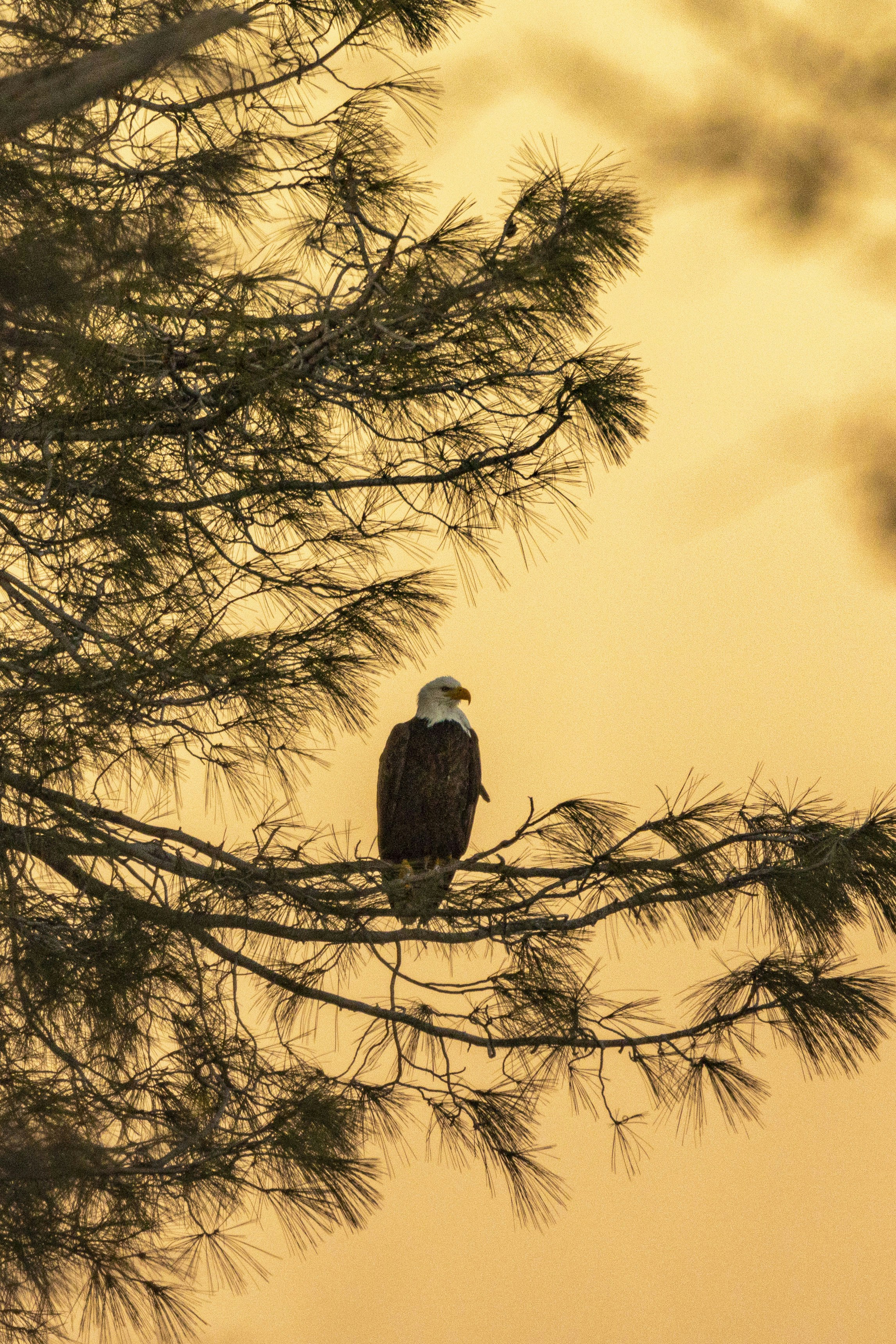 Photo by leo_visions_