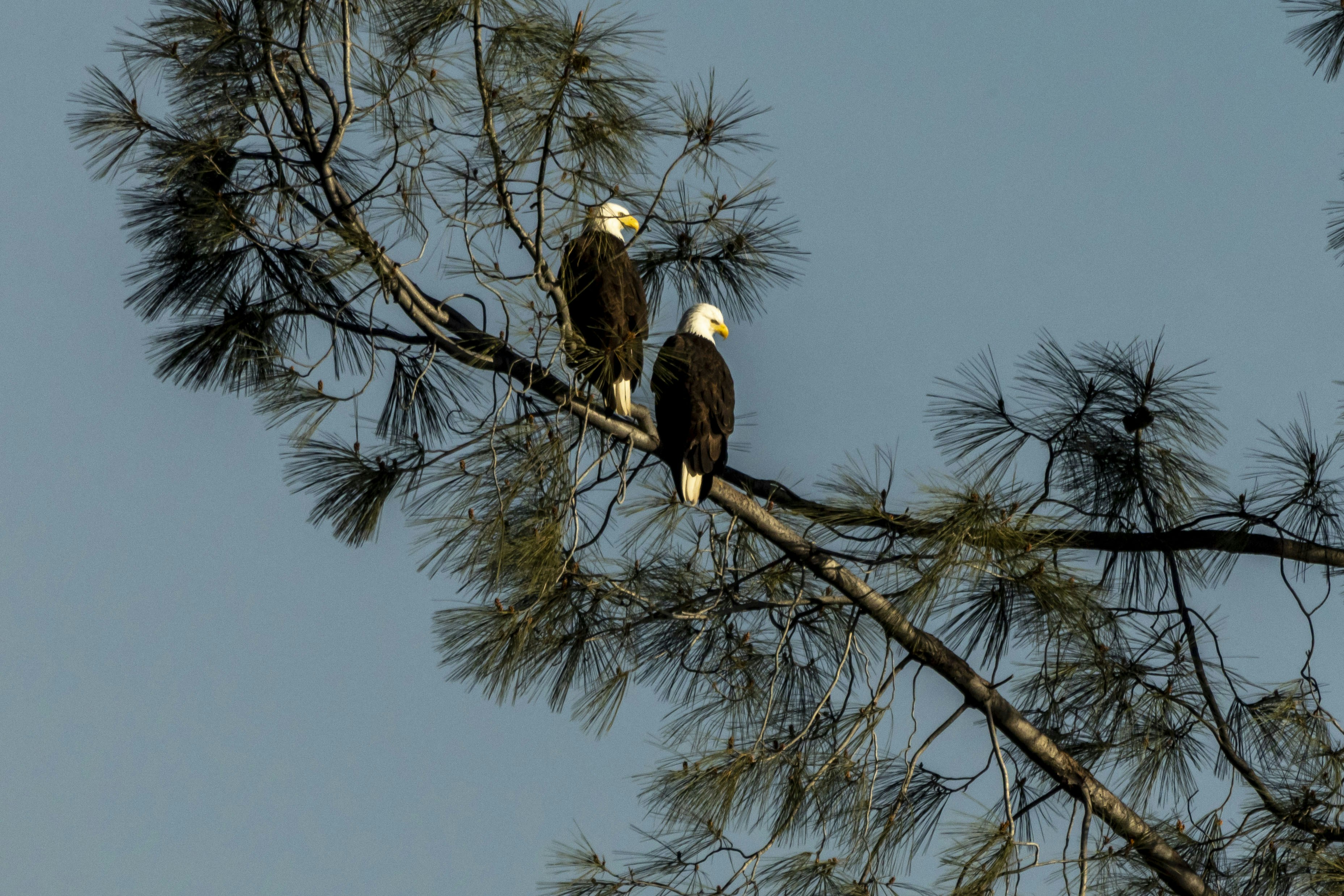 Photo by leo_visions_