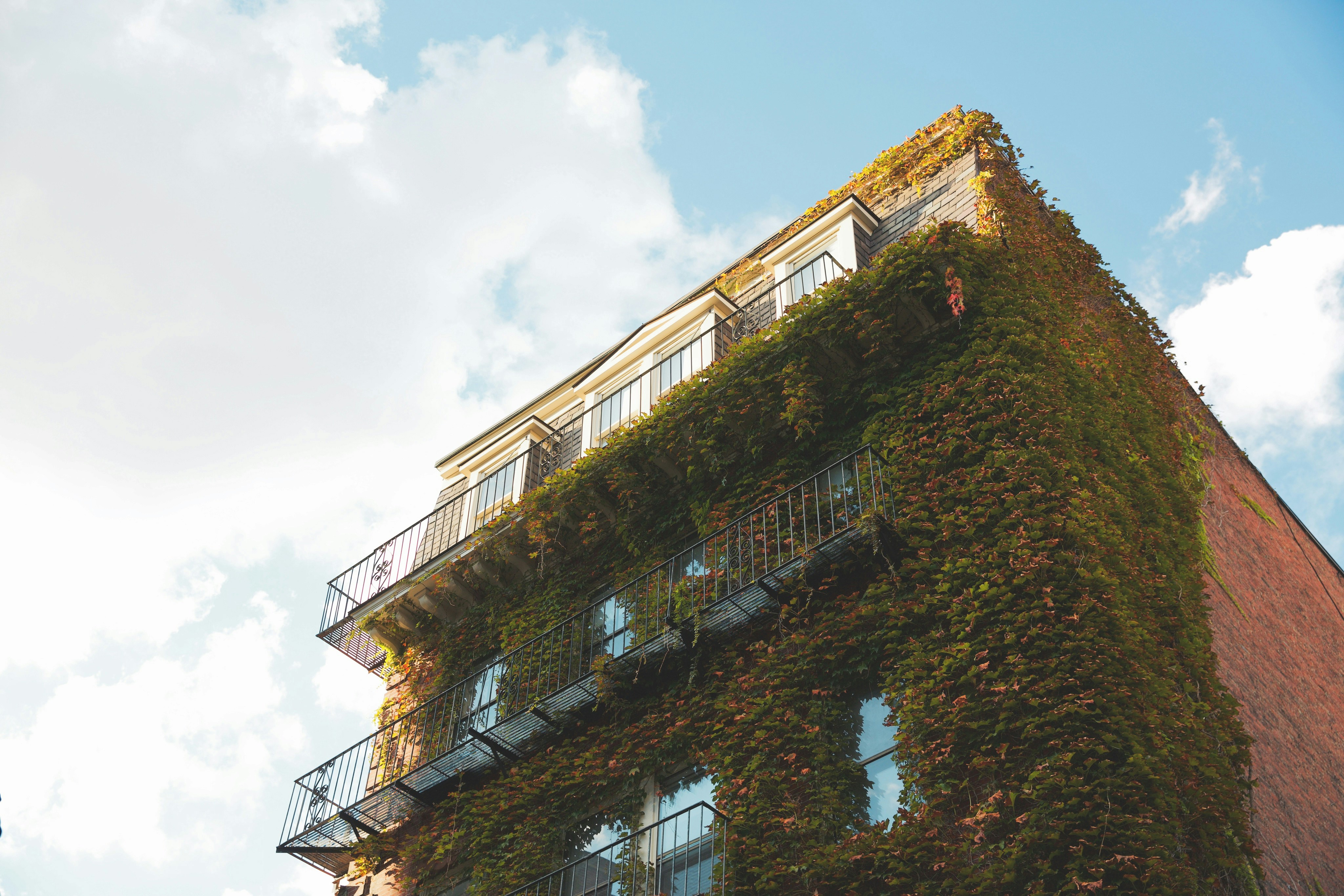 Photo by tommyskywalker