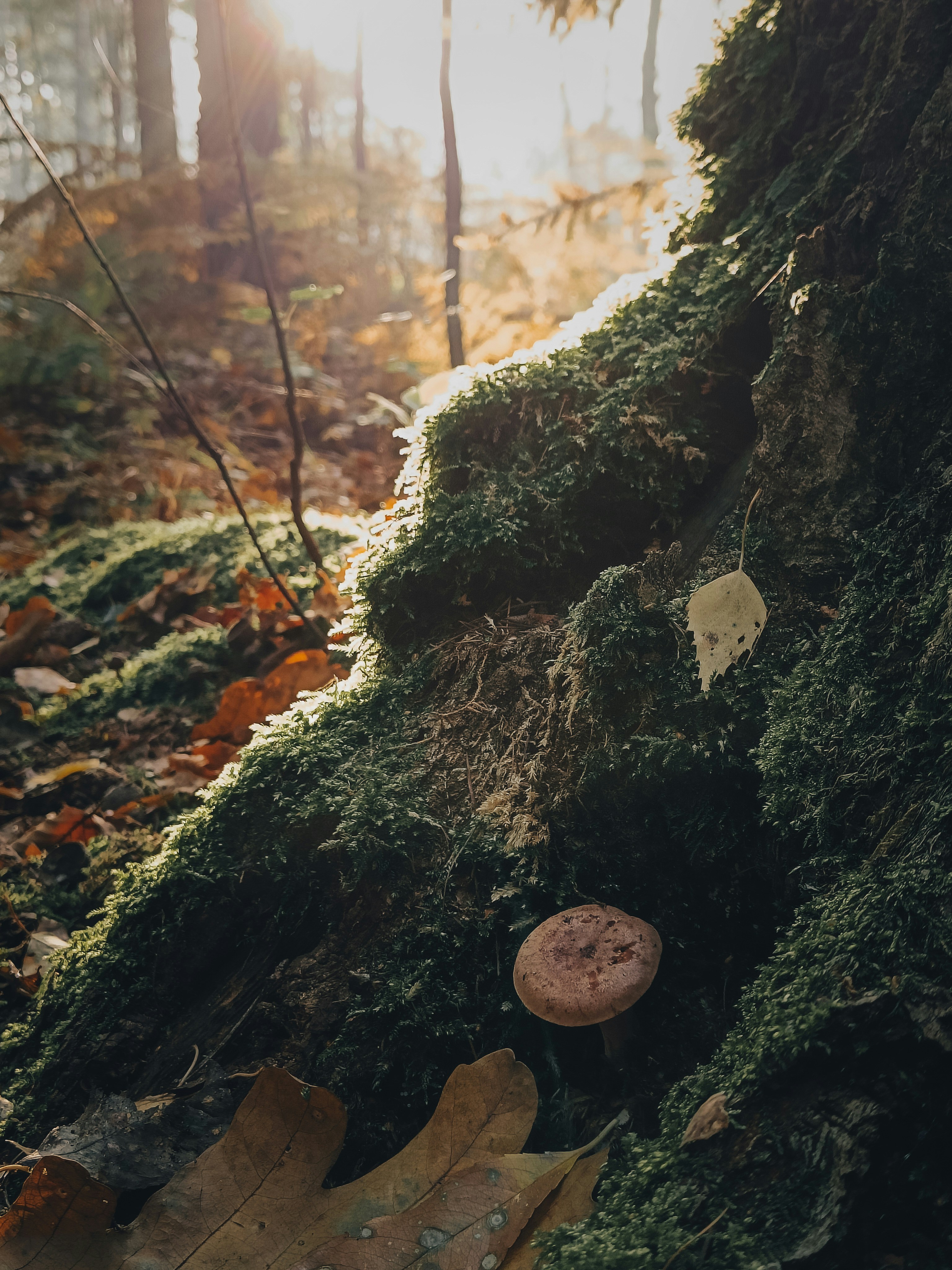 Photo by sprucejpg